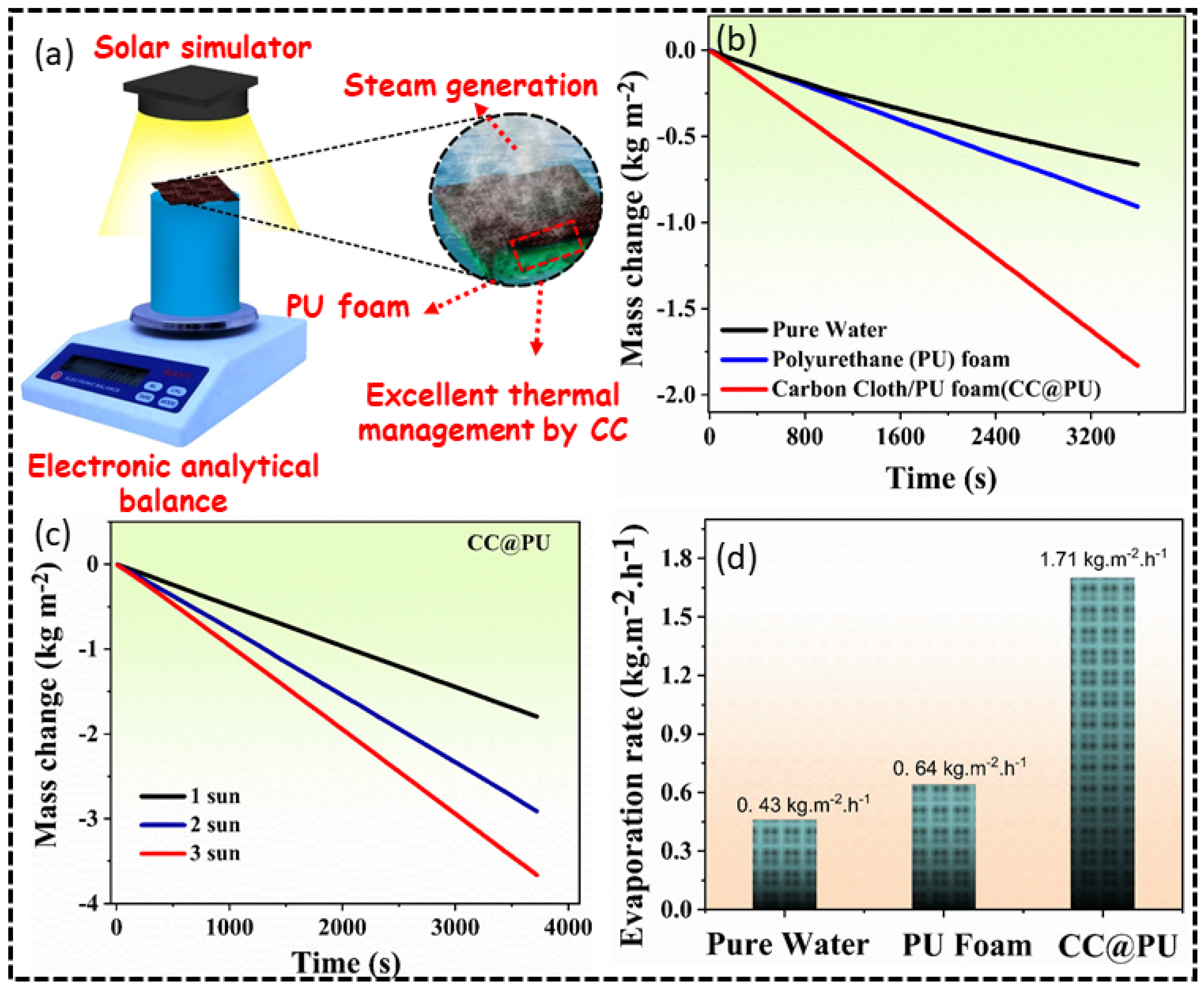 Nanomaterials 12 03206 g005 550