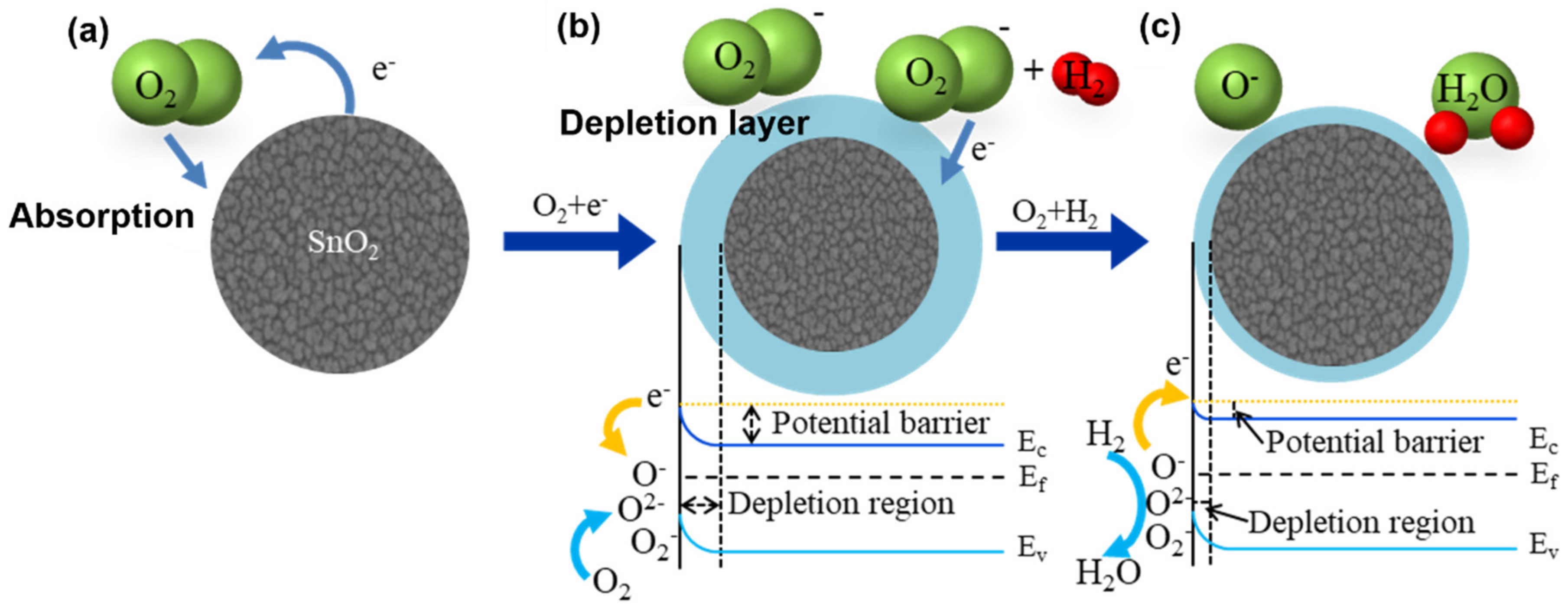 Nanomaterials 12 03227 g011