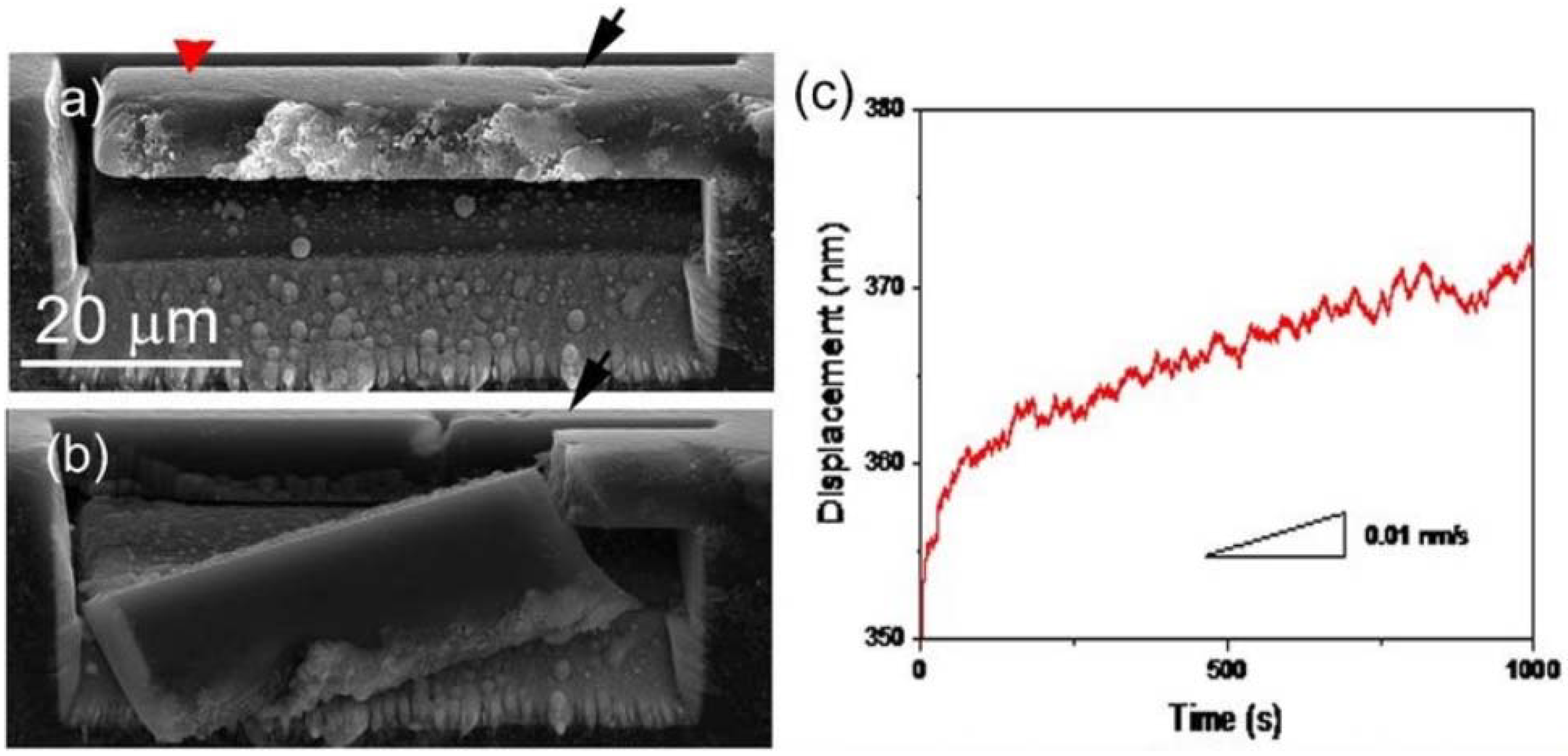 Nanomaterials 12 03228 g004 Nanomaterials 12 03228 g004