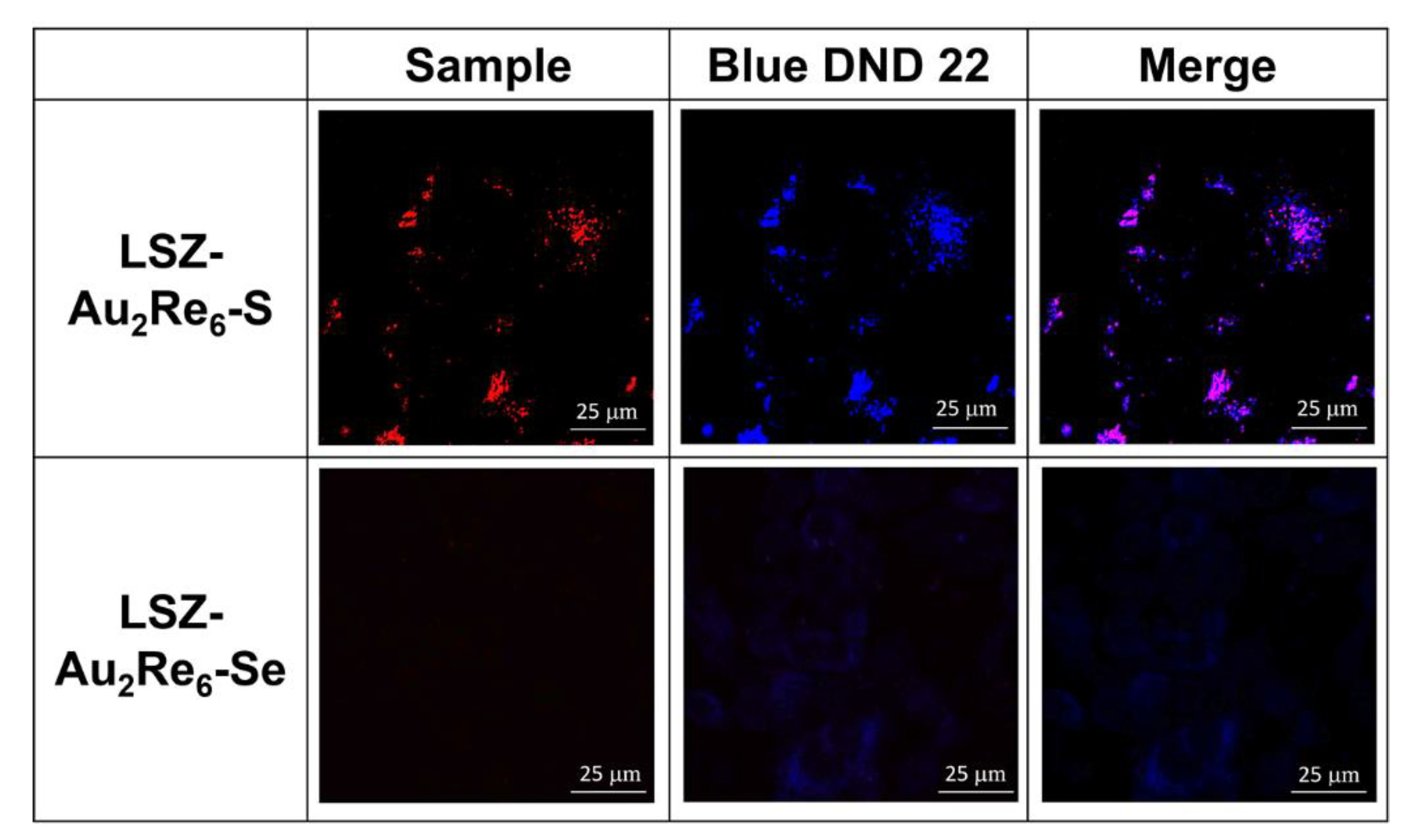 Nanomaterials 12 03229 g004