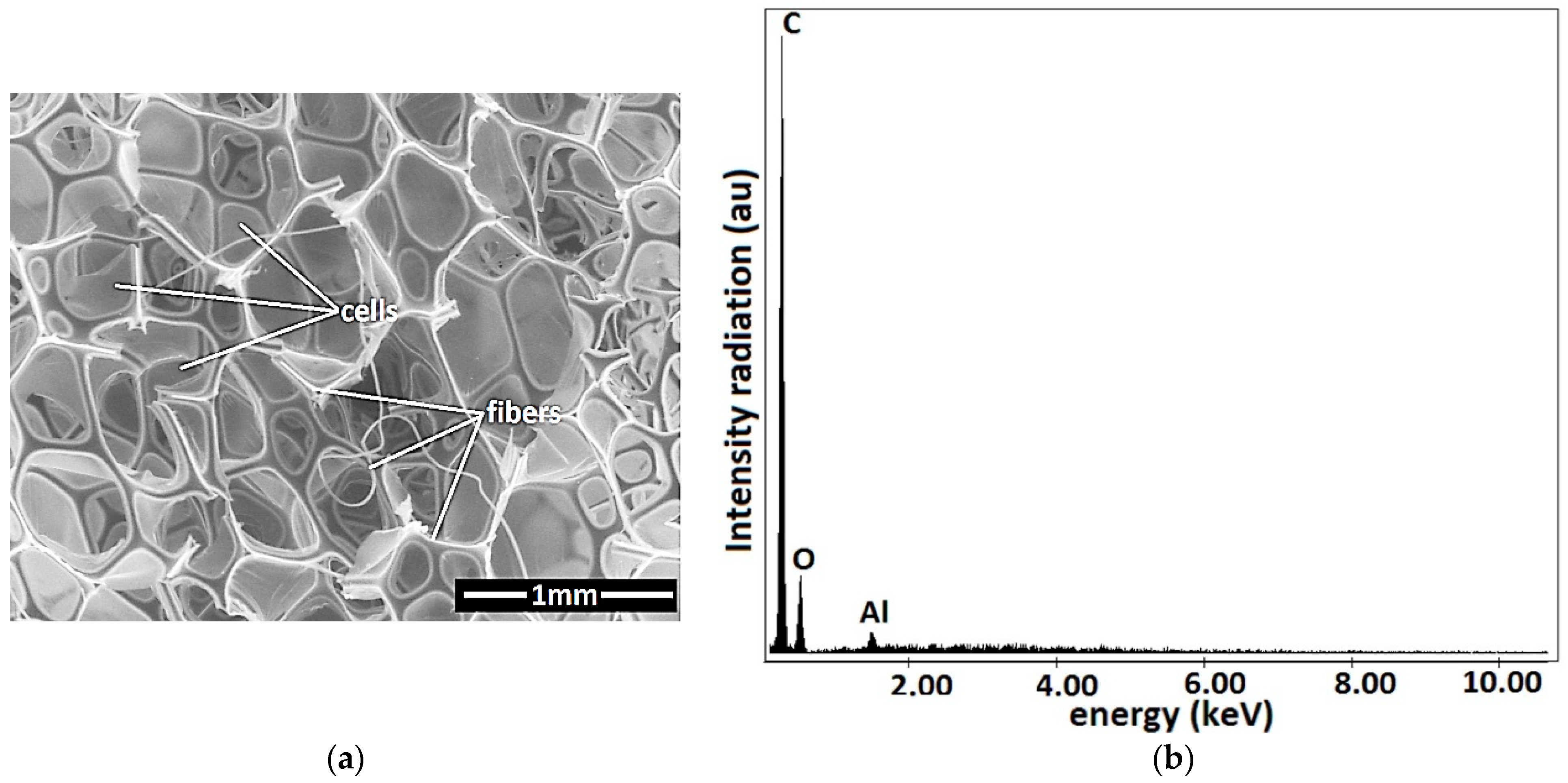 Nanomaterials 12 03231 g004