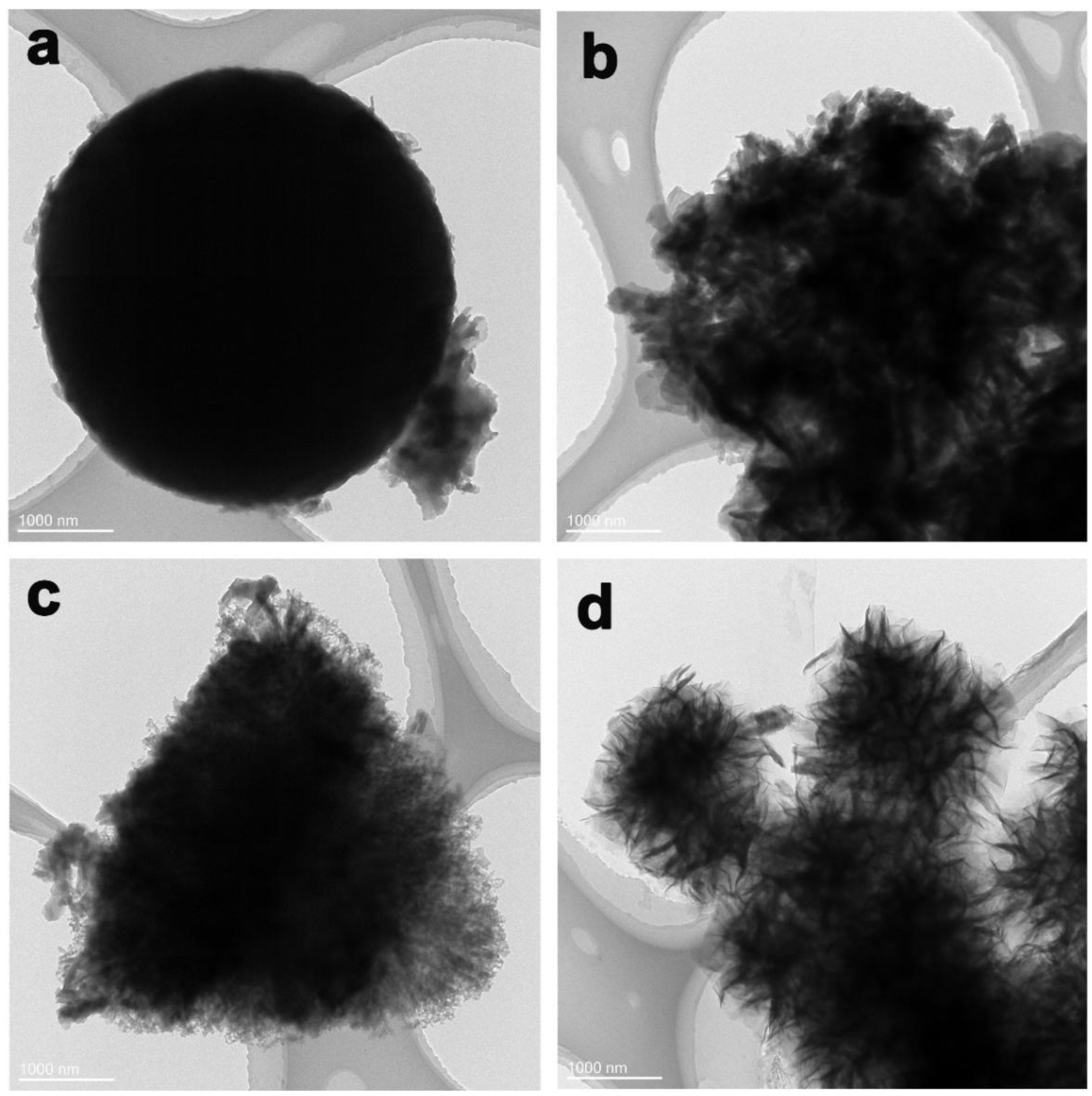 Nanomaterials 12 03234 g004 550