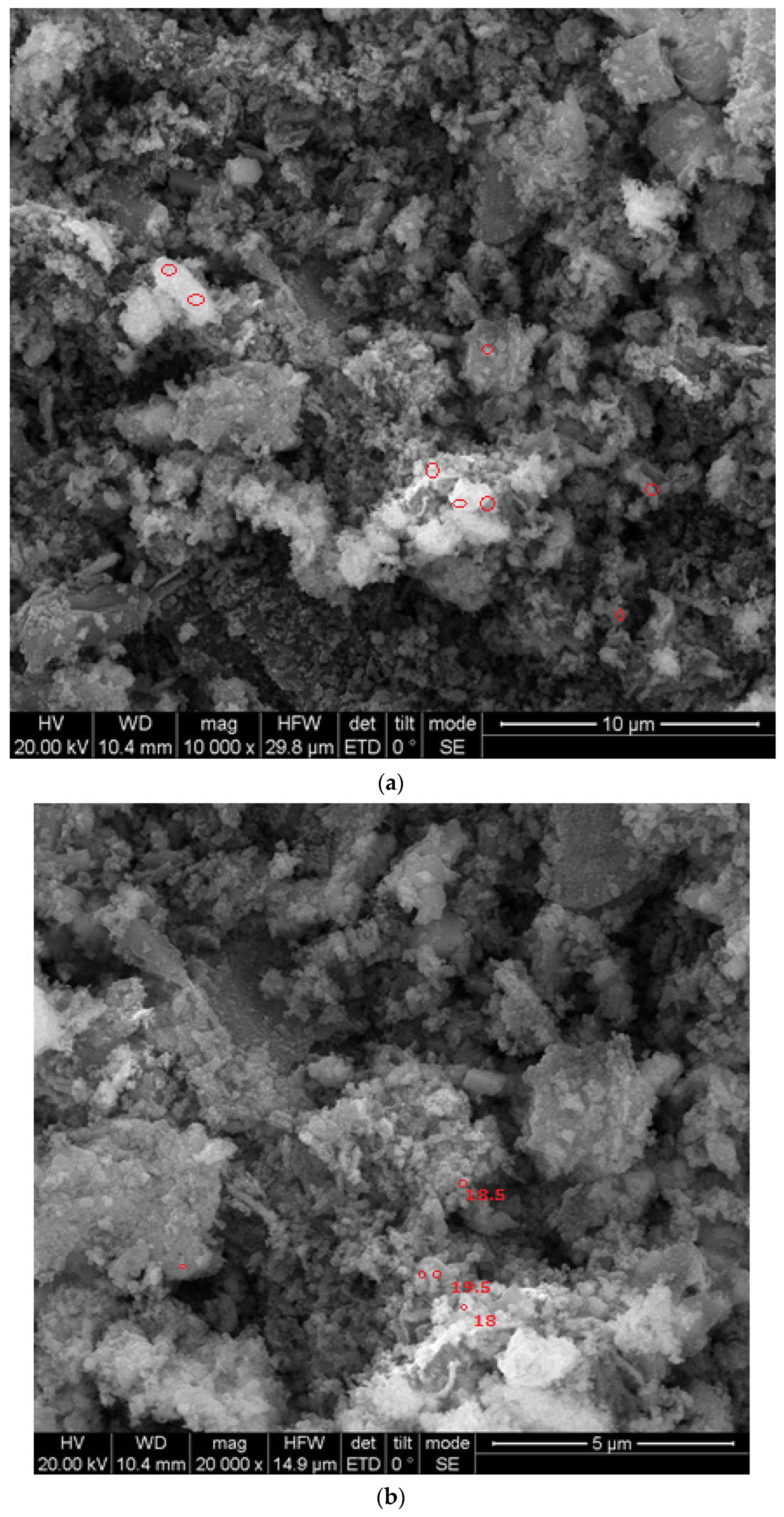 Nanomaterials 12 03236 g005 550