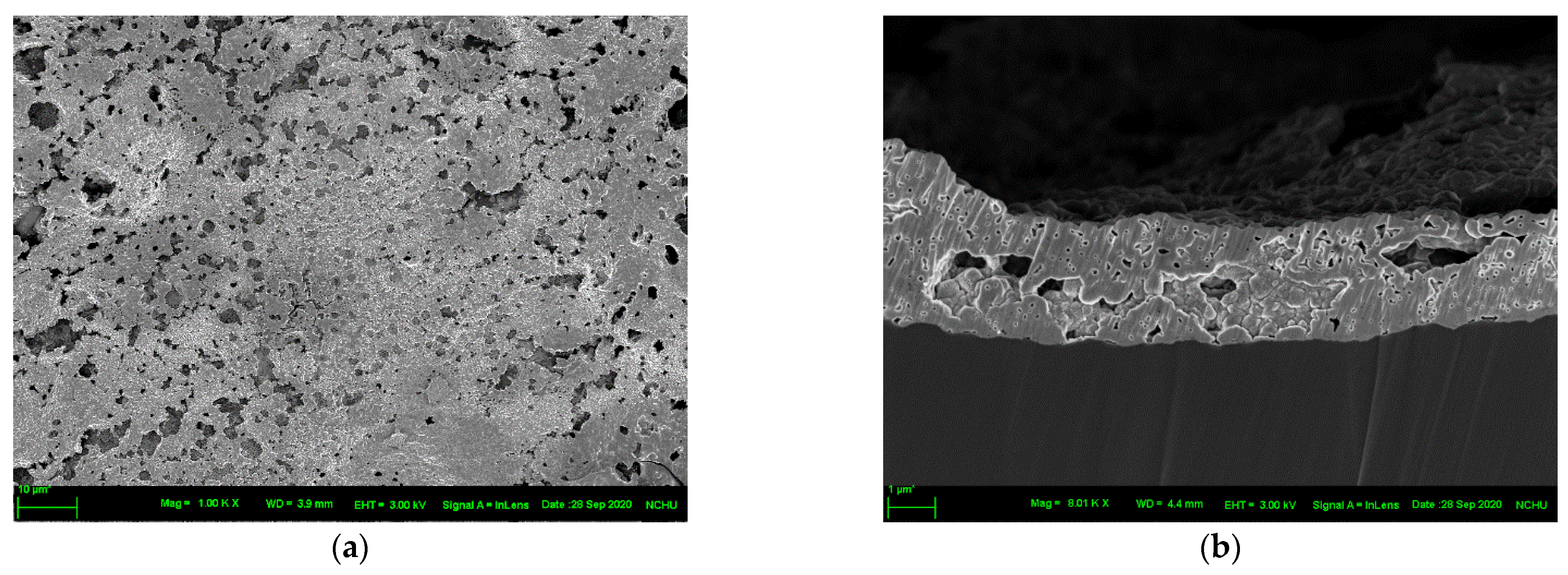 Nanomaterials 12 03237 g007a