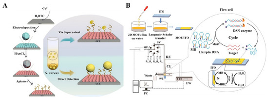 B’ flow(シルバー) From Cas proteins to cutting-edge biosensors: A new era in
