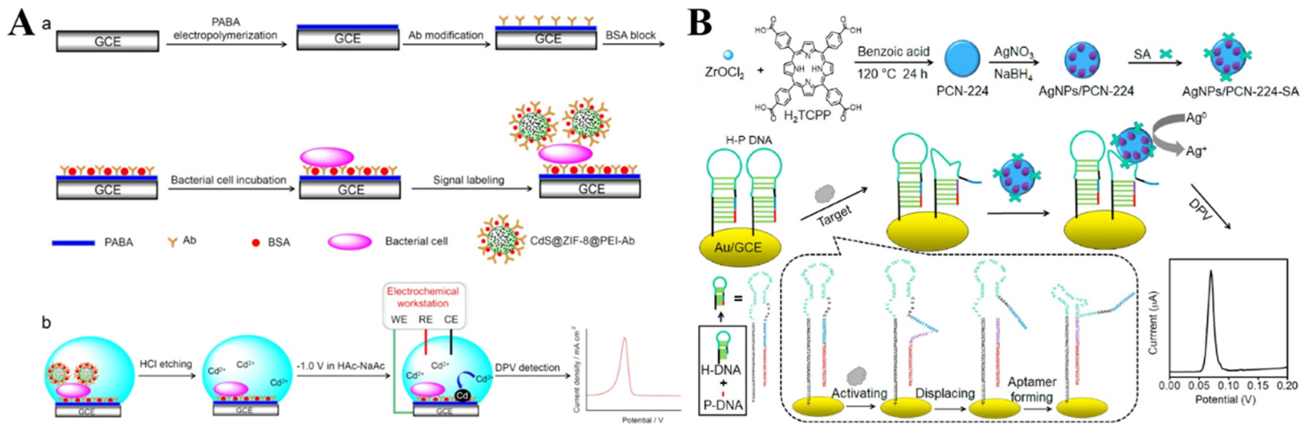 Nanomaterials 12 03248 g010