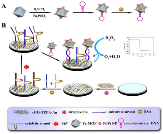 Design and Application of Electrochemical Sensors with Metal