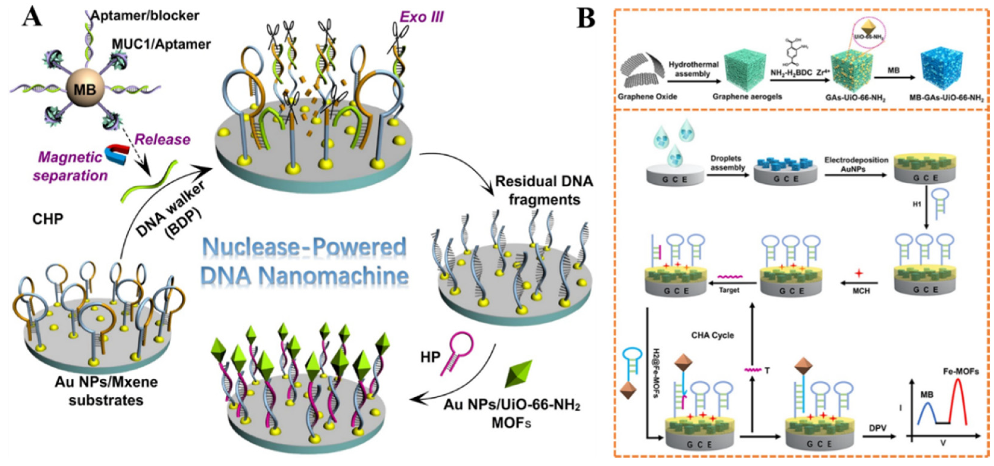 Nanomaterials 12 03248 g013
