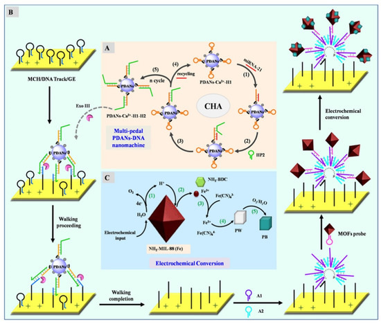 Design and Application of Electrochemical Sensors with Metal