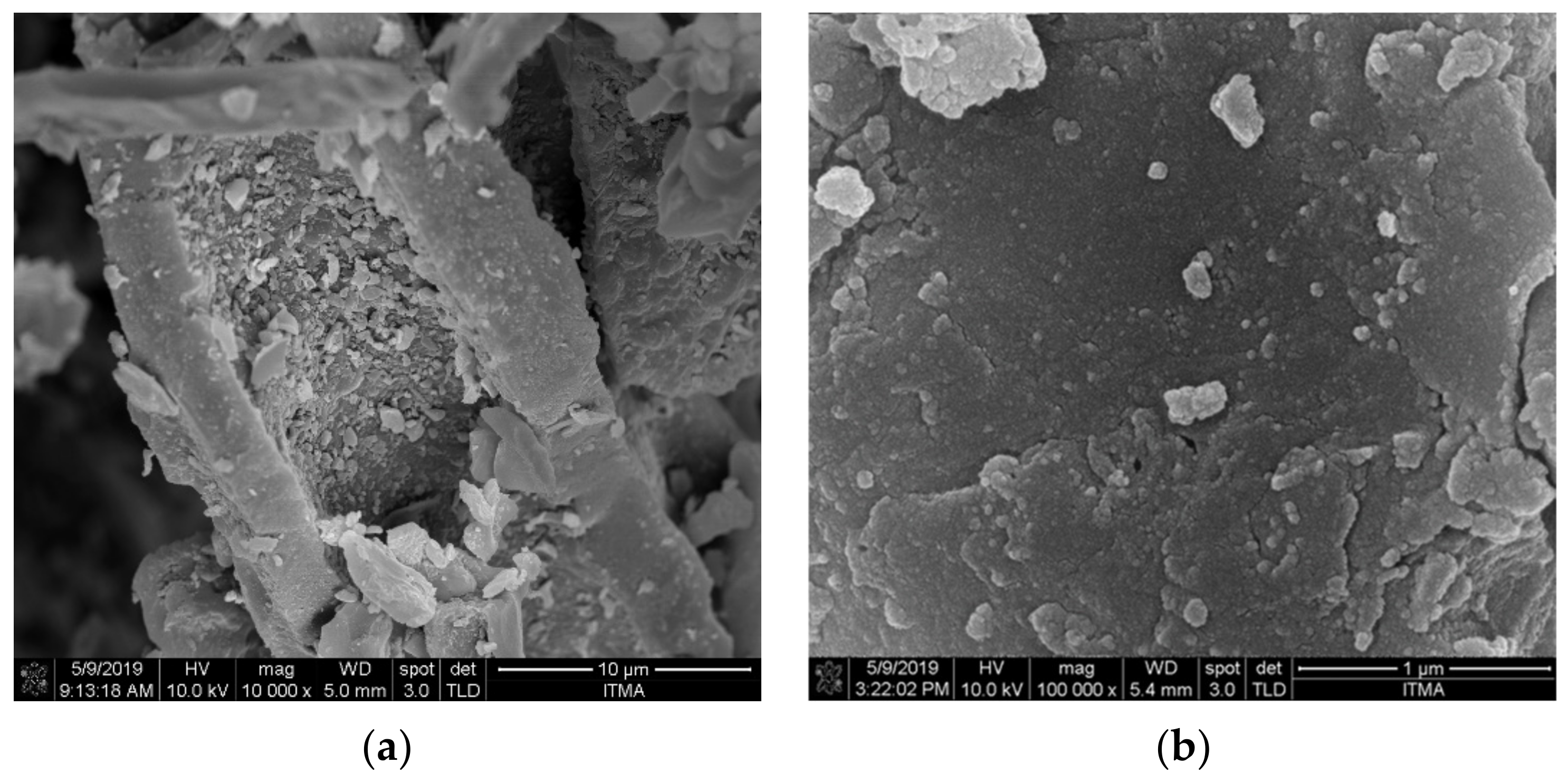 Nanomaterials 12 03251 g001a