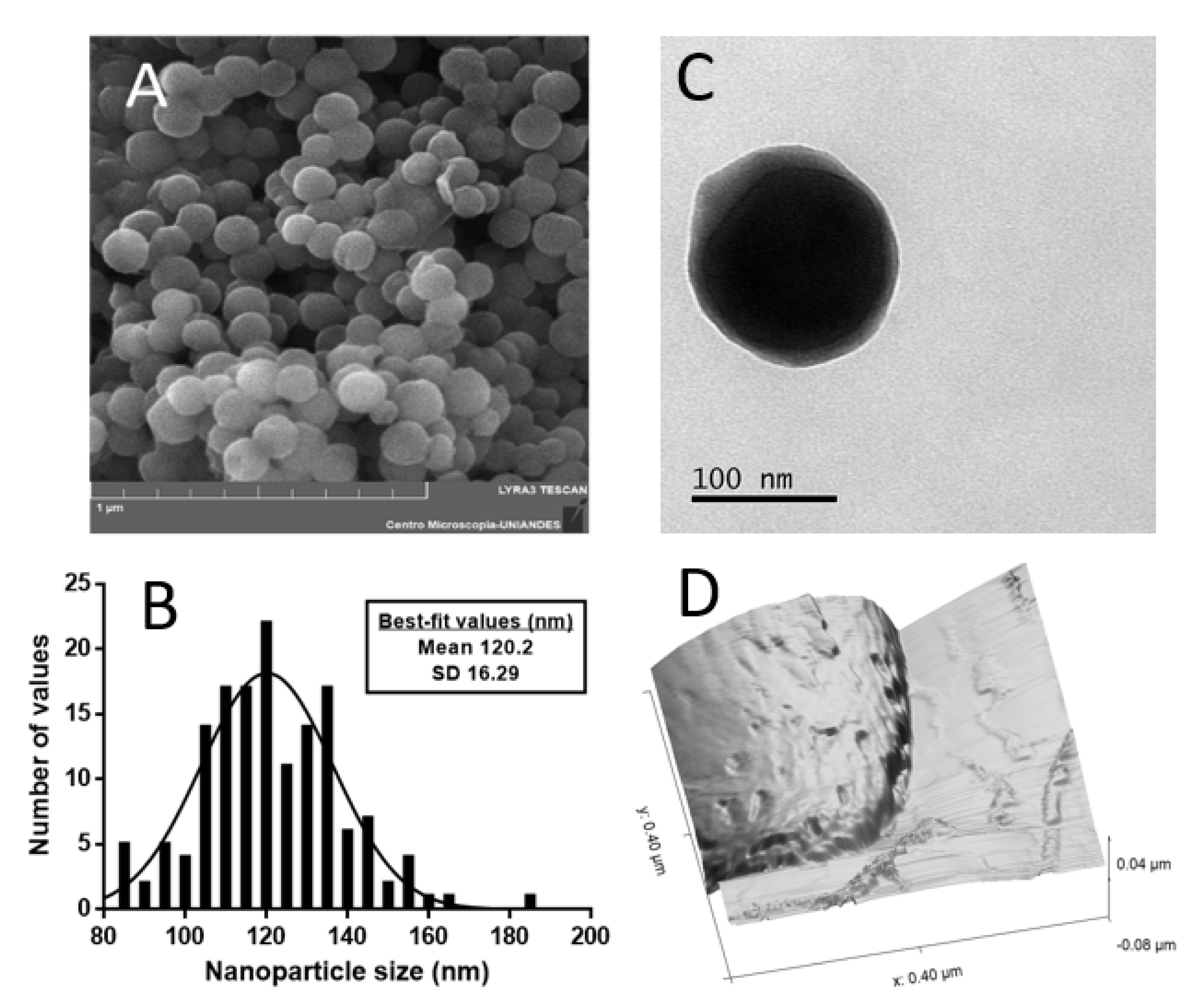 Nanomaterials 12 03257 g001