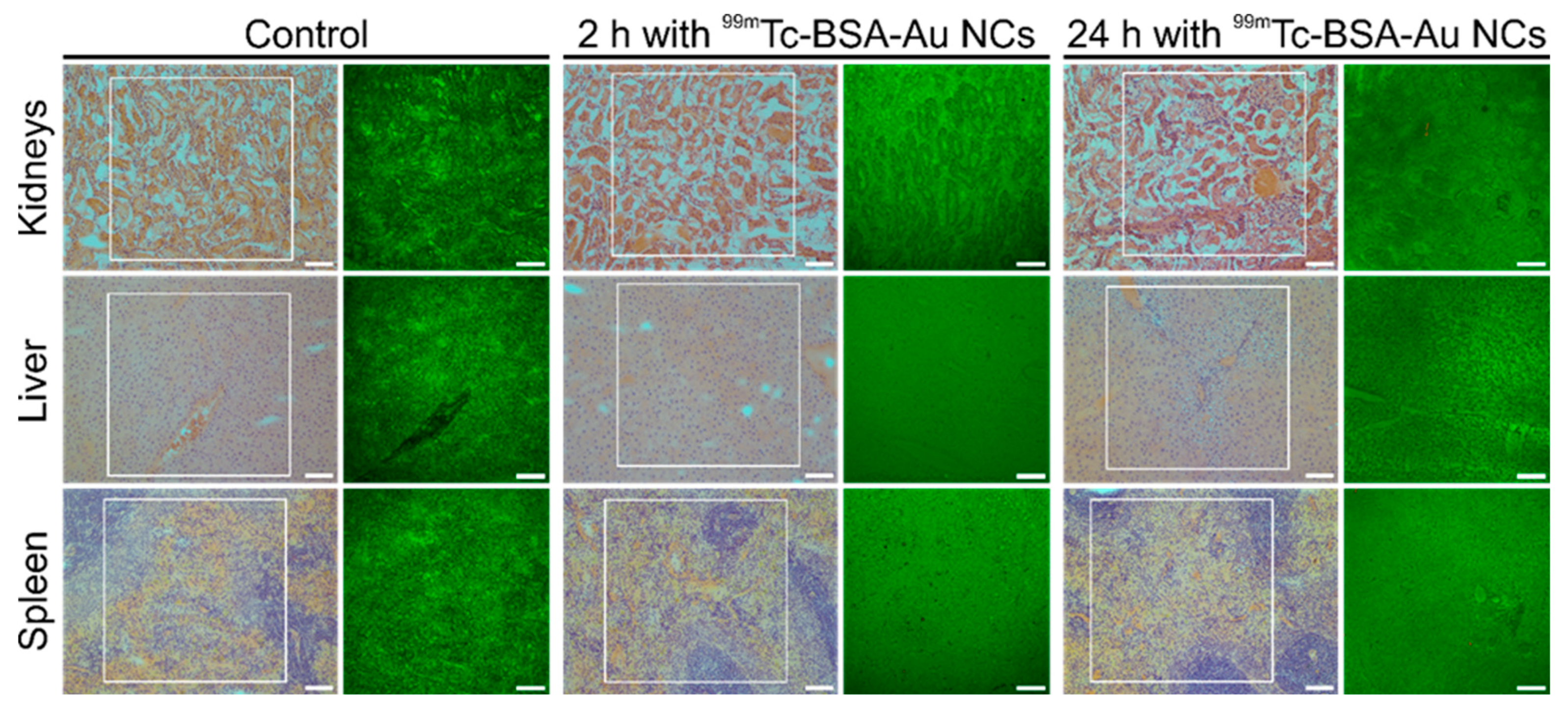 Nanomaterials 12 03259 g005 Nanomaterials 12 03259 g005