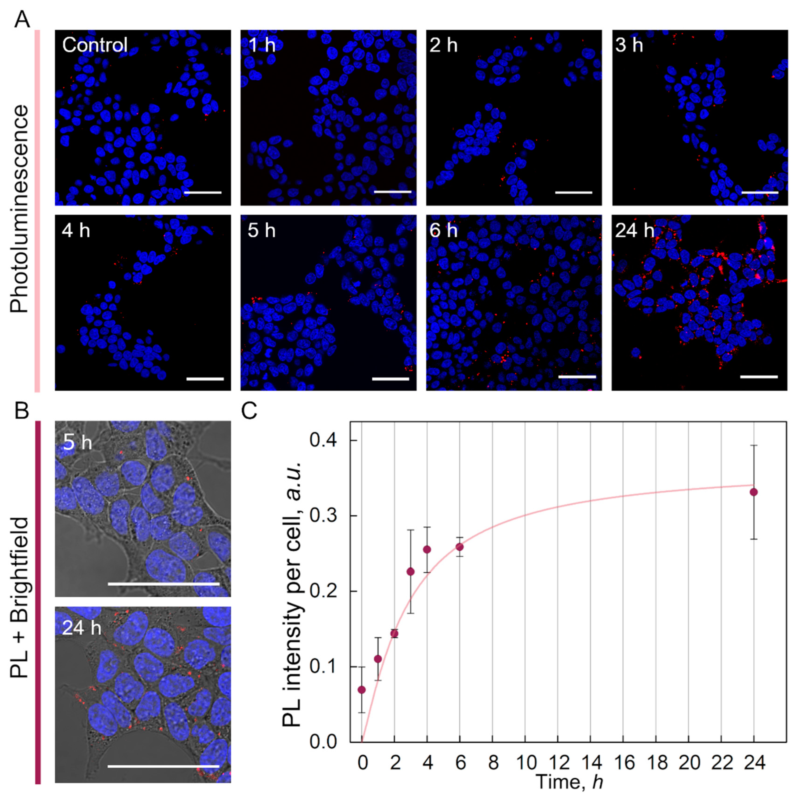 Nanomaterials 12 03259 g006 Nanomaterials 12 03259 g006
