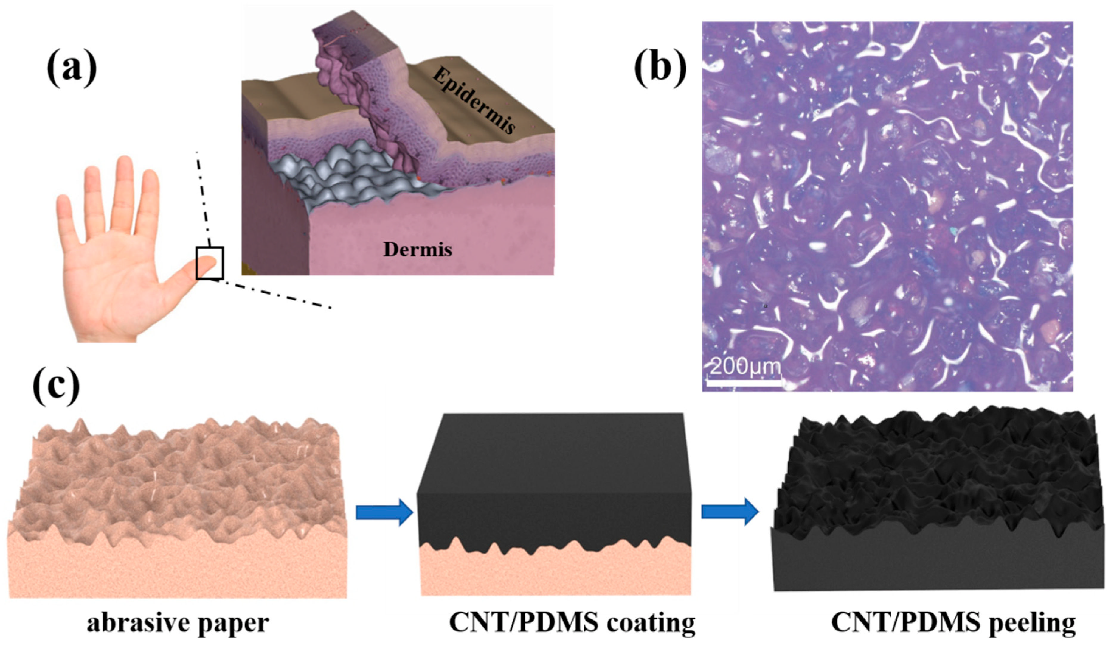 Nanomaterials 12 03265 g001 550