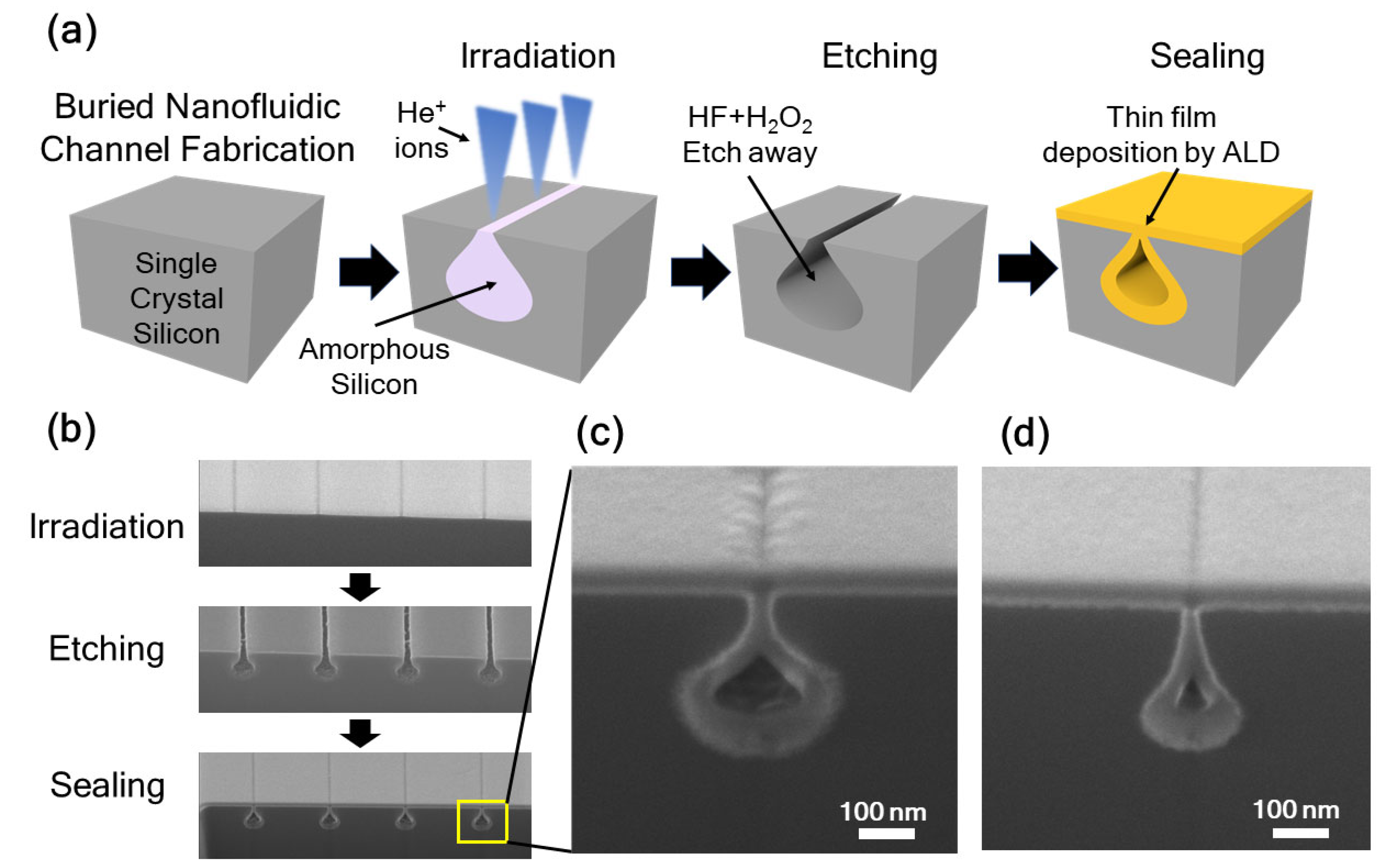 Nanomaterials 12 03269 g005 Nanomaterials 12 03269 g005