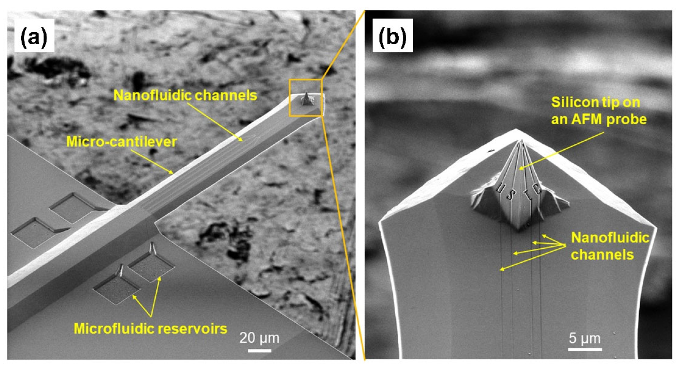 Nanomaterials 12 03269 g007 Nanomaterials 12 03269 g007