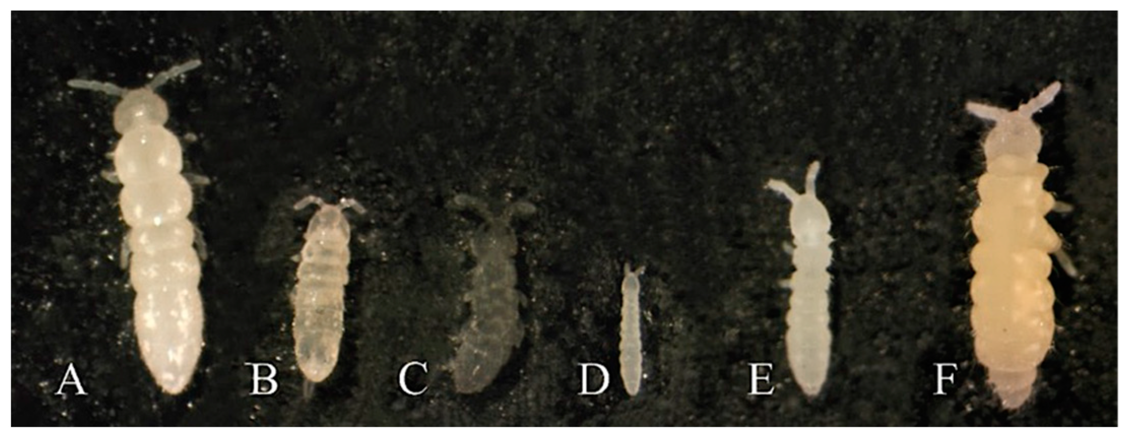 Nanomaterials 12 03276 g001