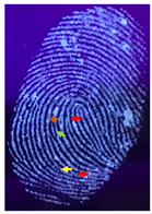 Nanomaterials 12 03277 i016