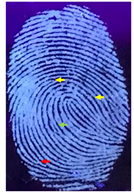 Nanomaterials 12 03277 i018