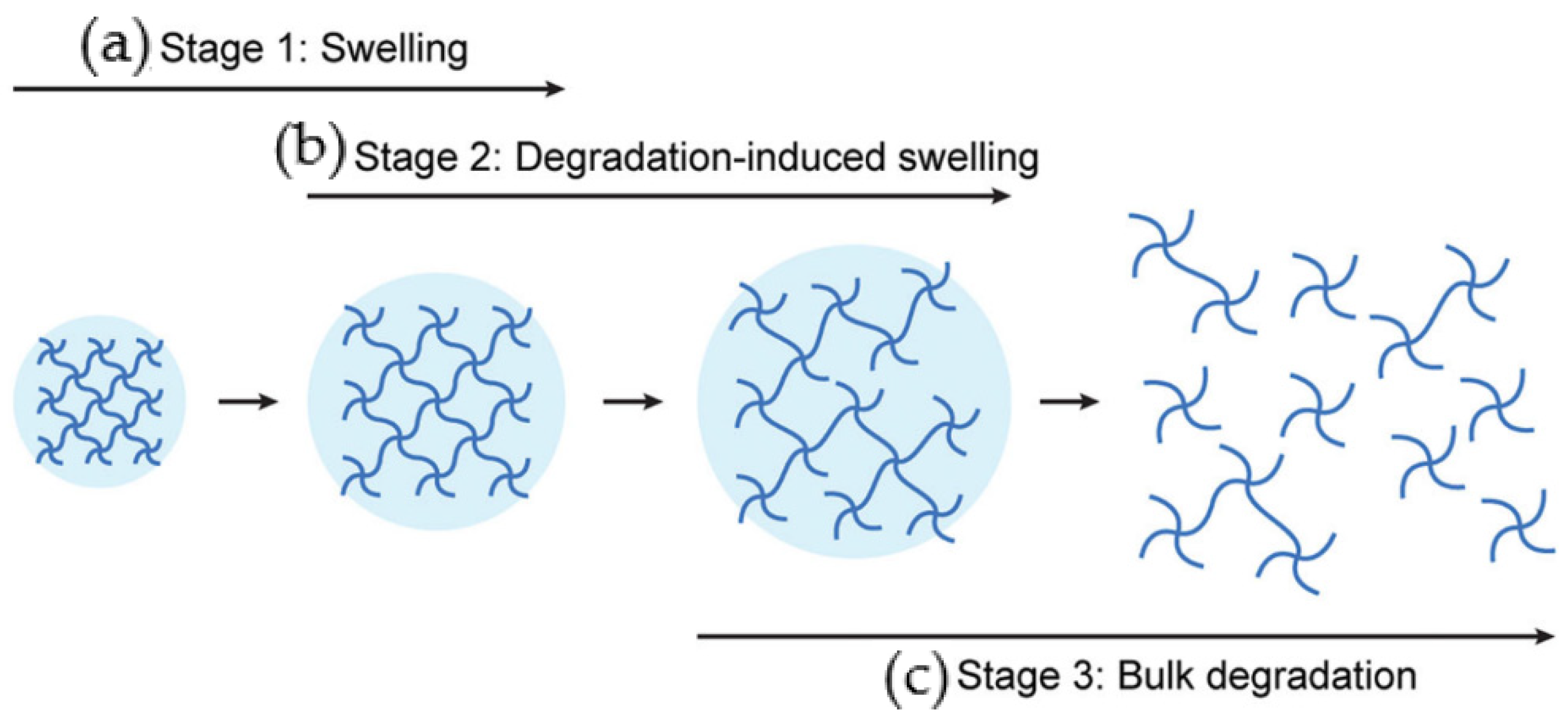 Nanomaterials 12 03308 g002 Nanomaterials 12 03308 g002