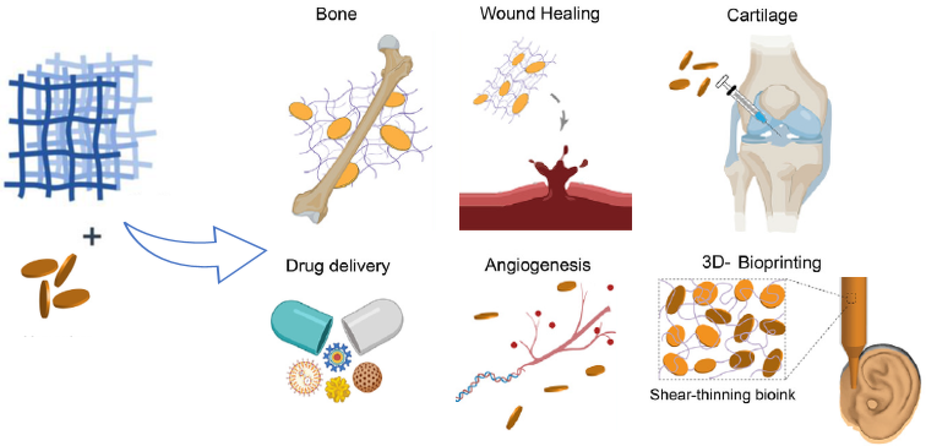 Nanomaterials 12 03308 g006 Nanomaterials 12 03308 g006