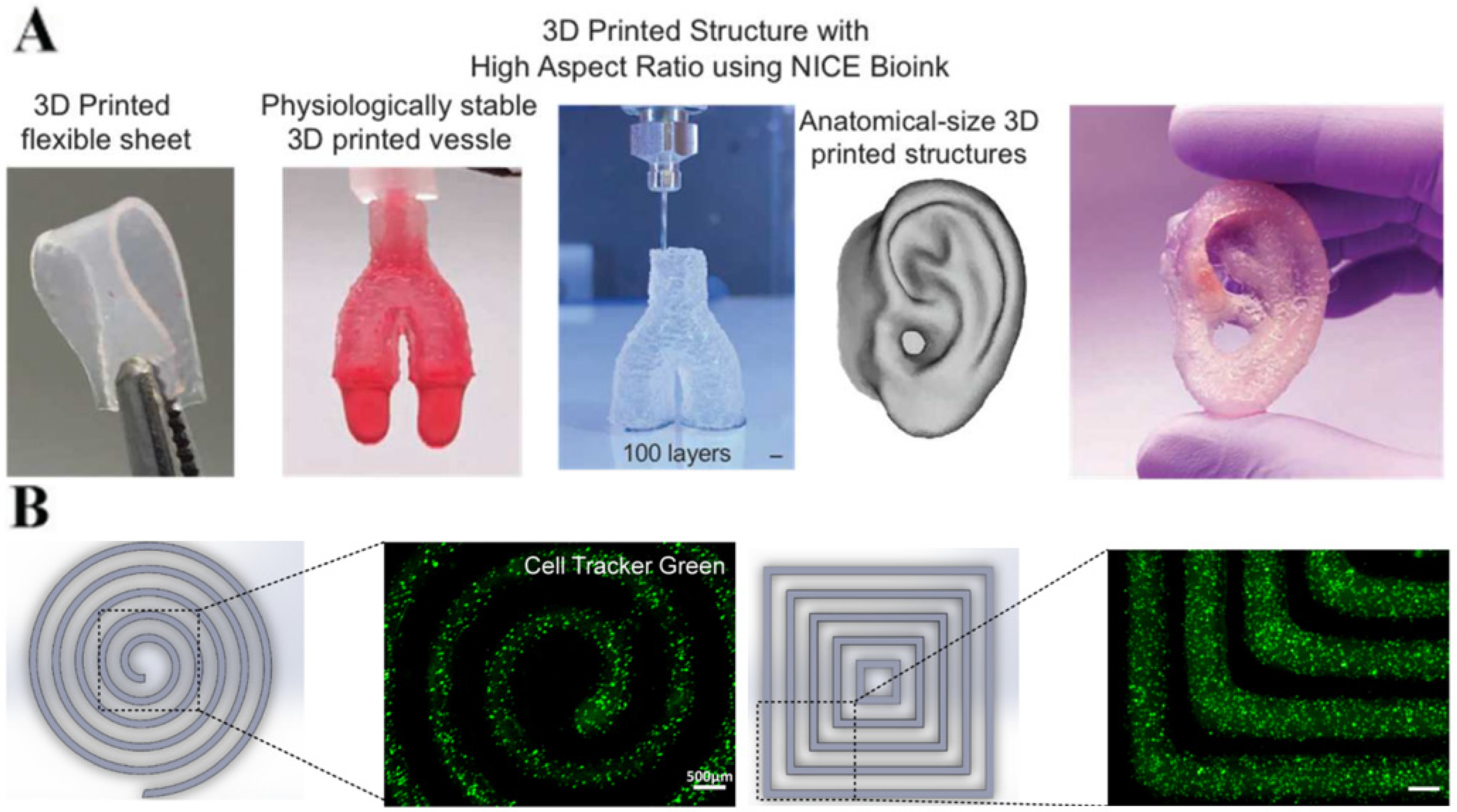 Nanomaterials 12 03308 g021 Nanomaterials 12 03308 g021
