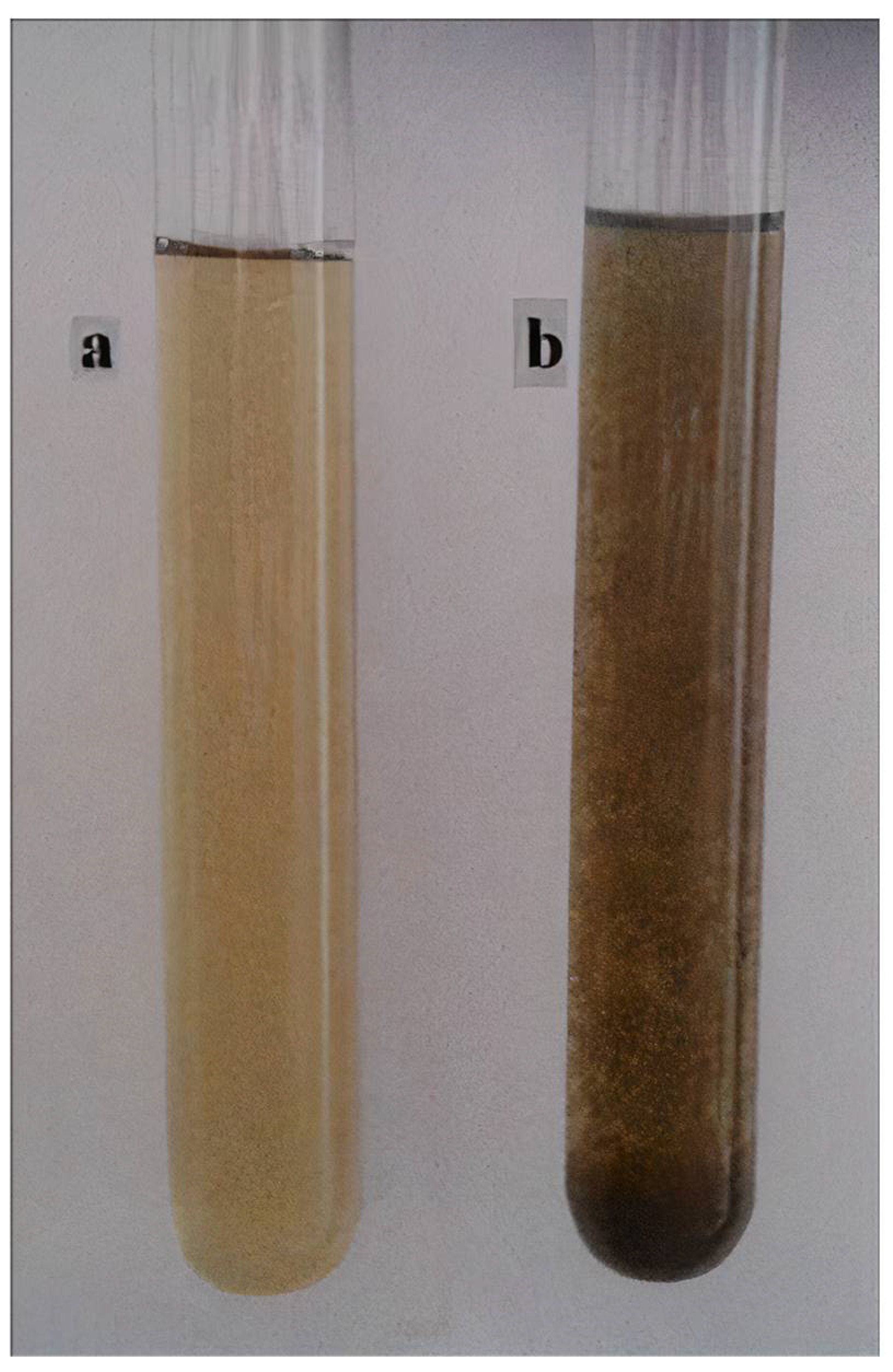 Nanomaterials 12 03312 g002 Nanomaterials 12 03312 g002