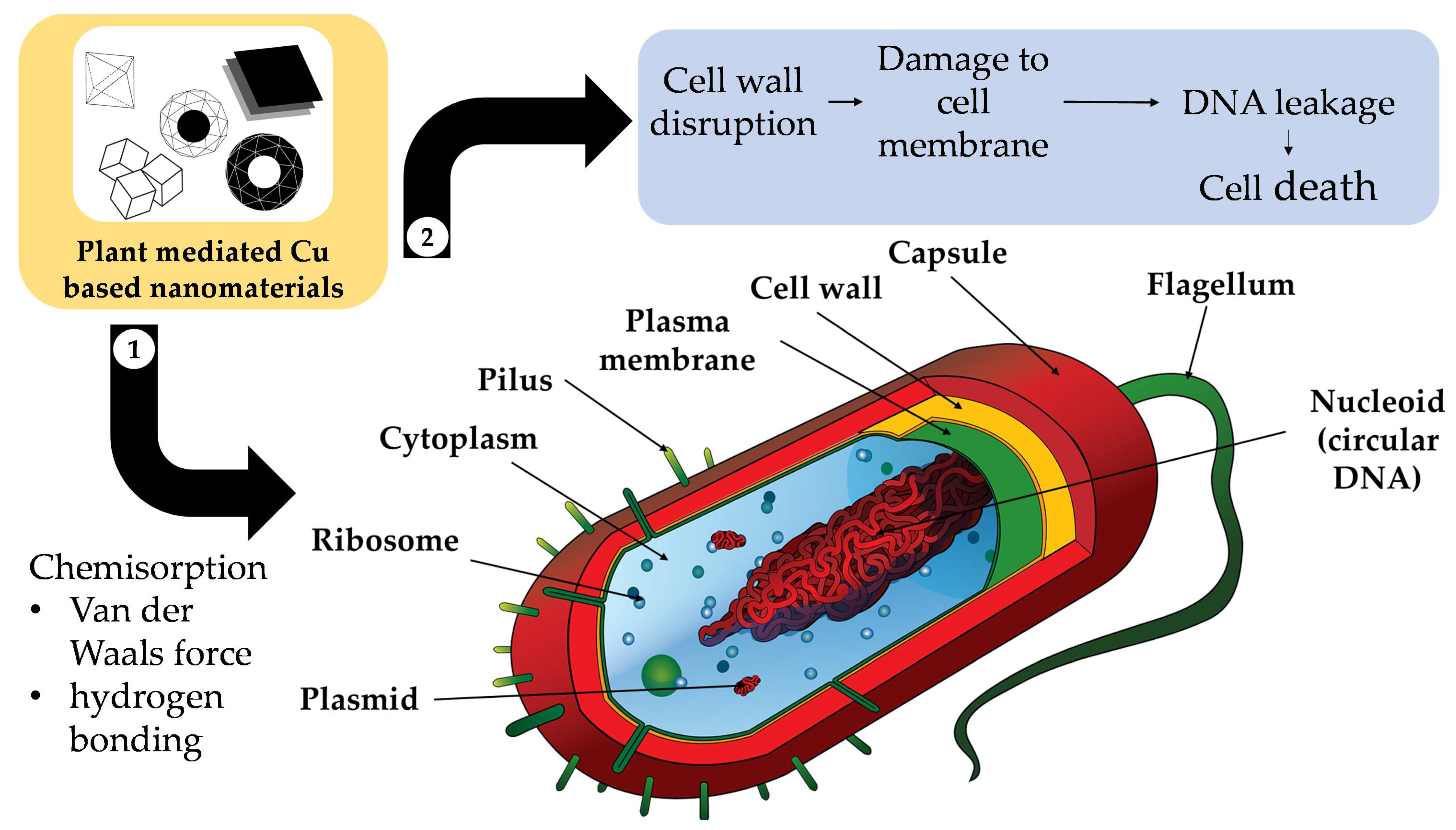 Nanomaterials 12 03312 g005 Nanomaterials 12 03312 g005
