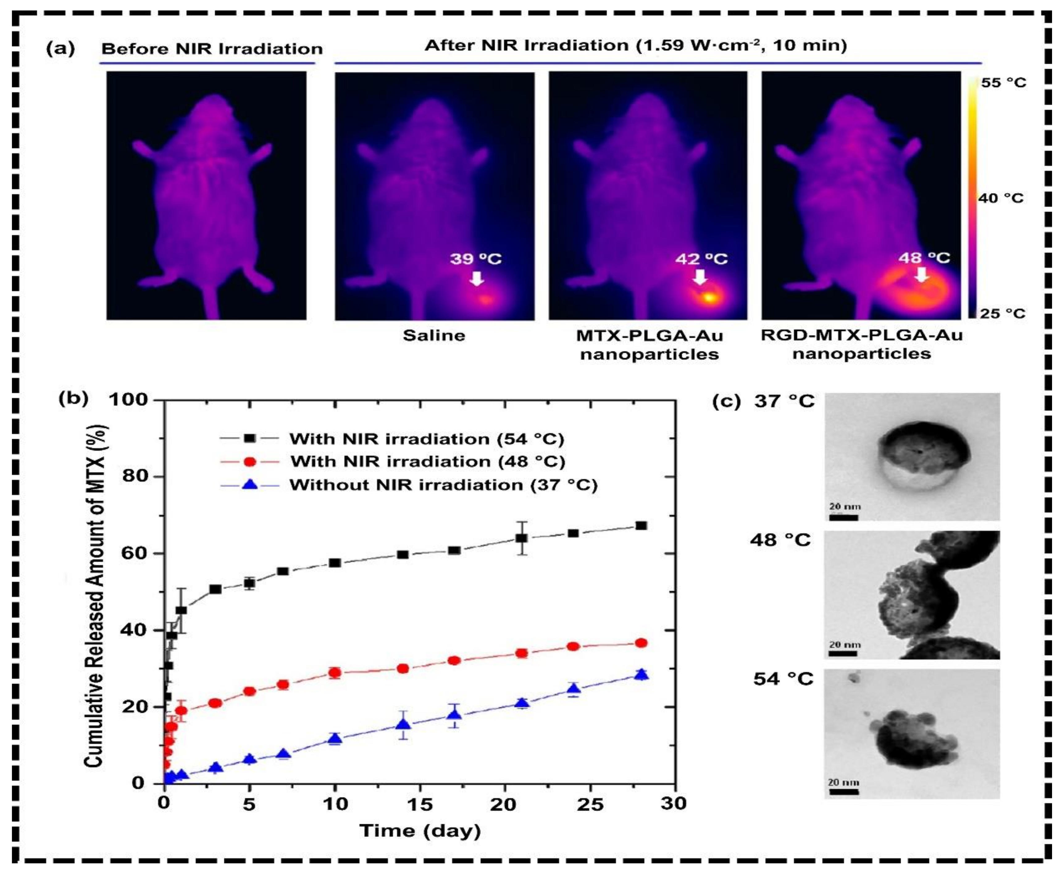 Nanomaterials 12 03318 g005