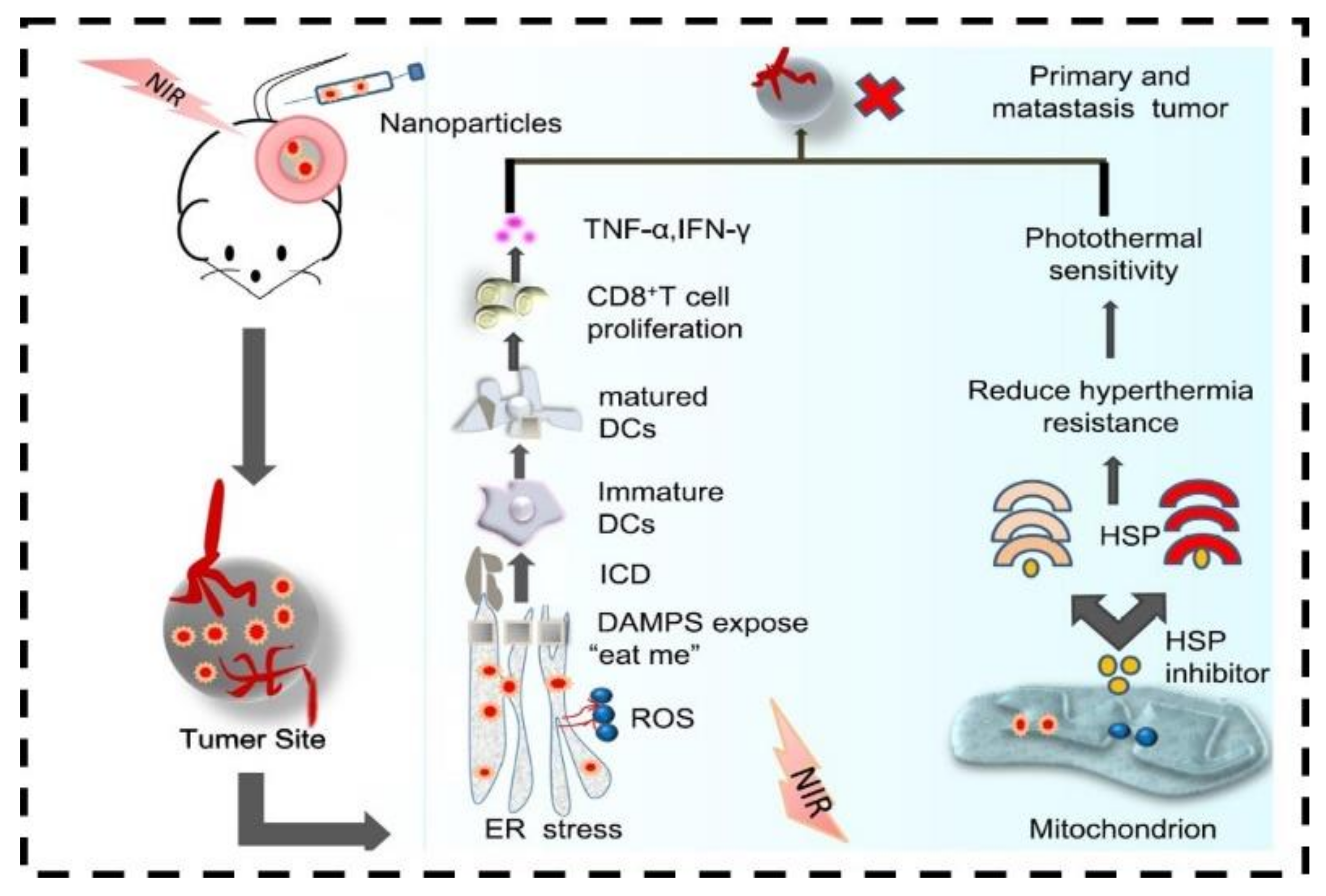 Nanomaterials 12 03318 g008
