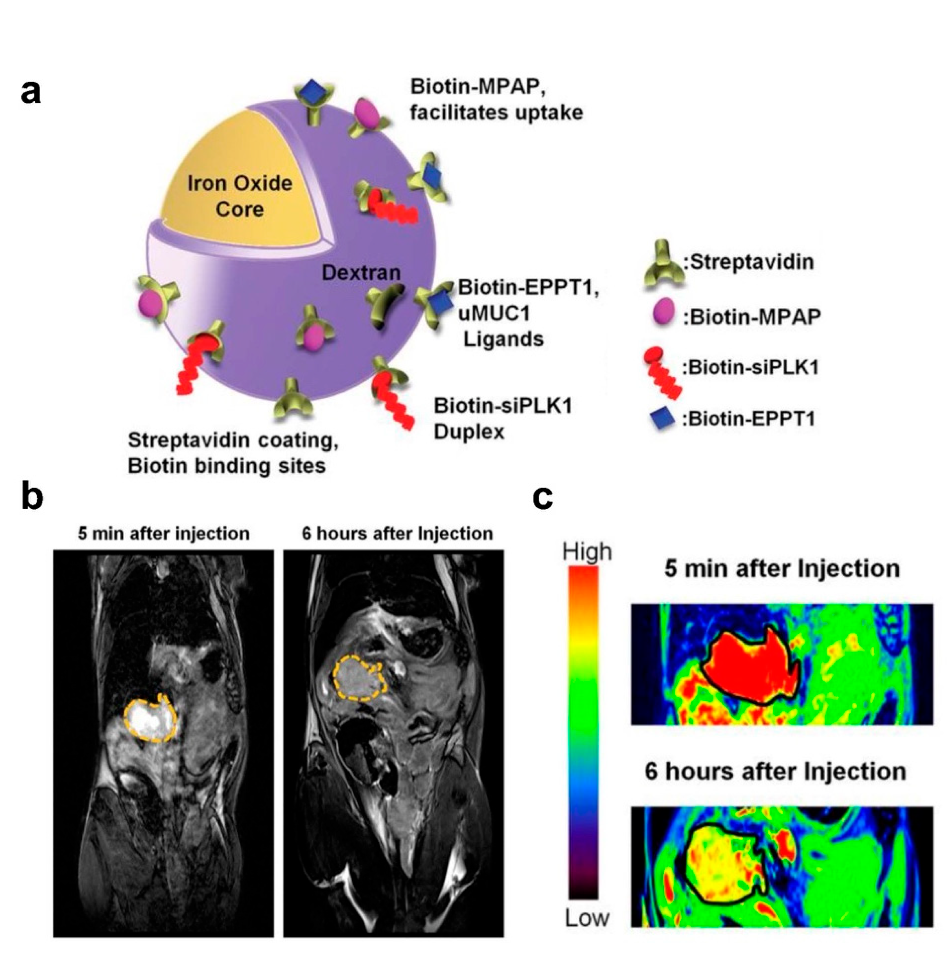 Nanomaterials 12 03323 g003 Nanomaterials 12 03323 g003