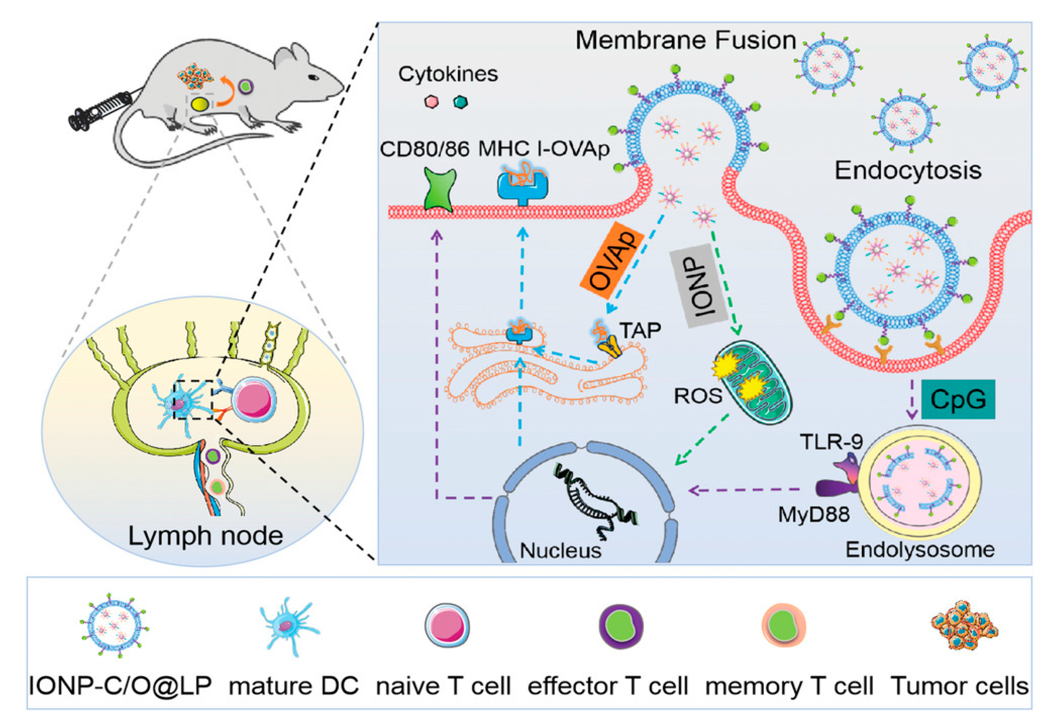 Nanomaterials 12 03323 g004 Nanomaterials 12 03323 g004