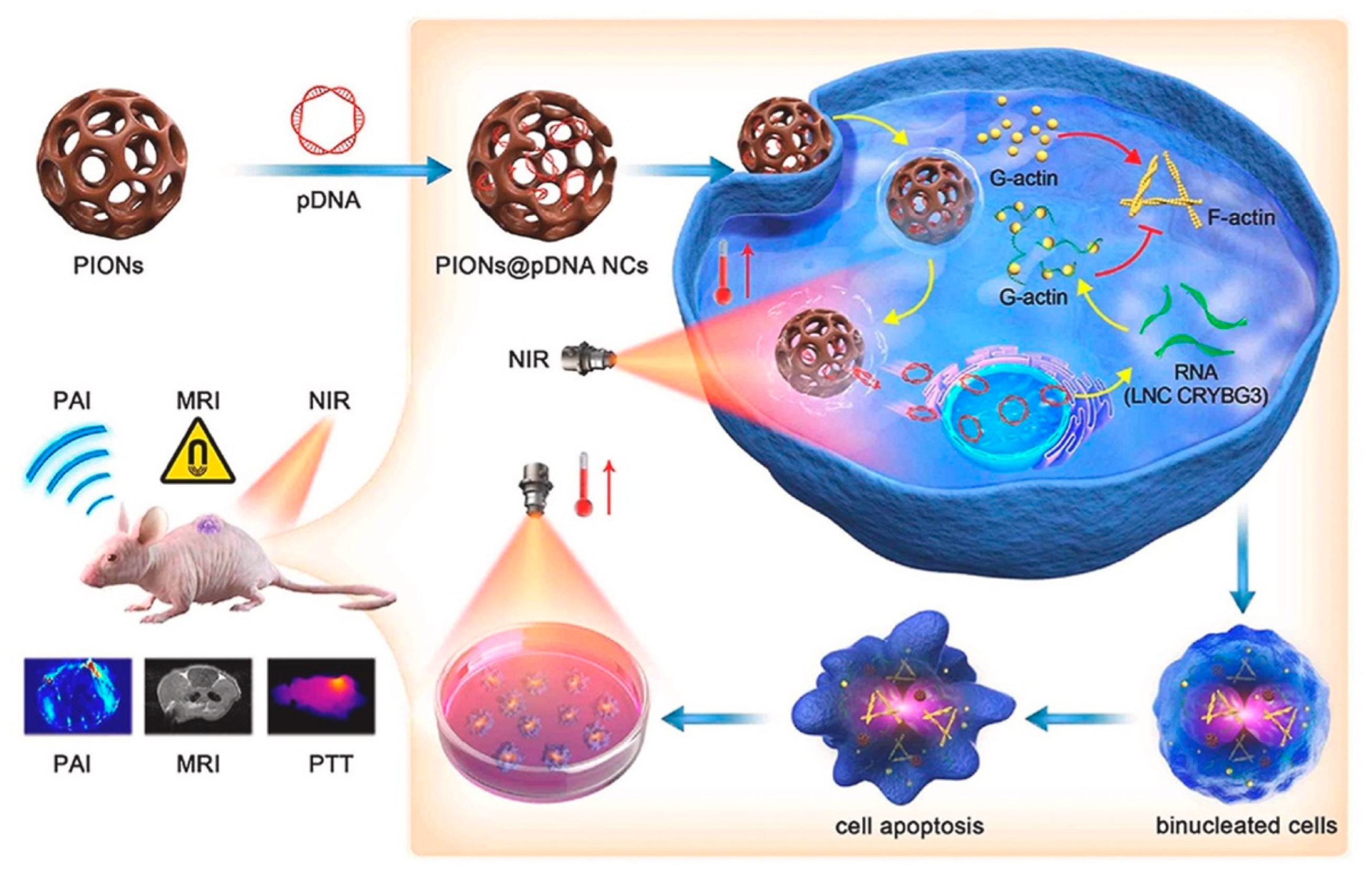 Nanomaterials 12 03323 g005 Nanomaterials 12 03323 g005