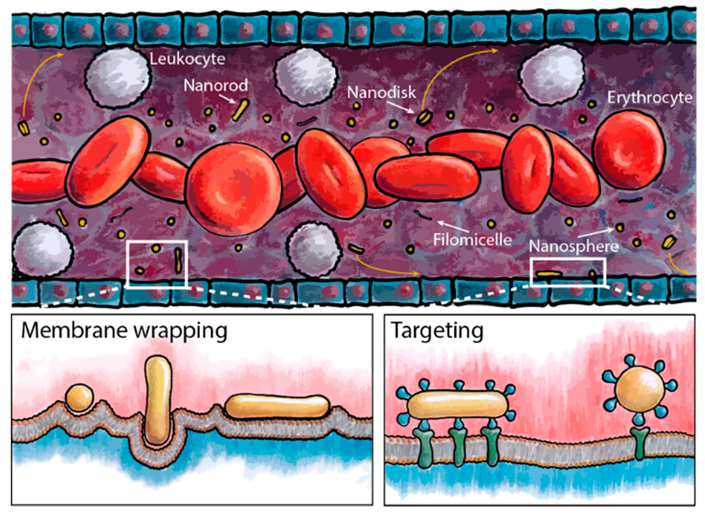 Nanomaterials 12 03323 g007 Nanomaterials 12 03323 g007