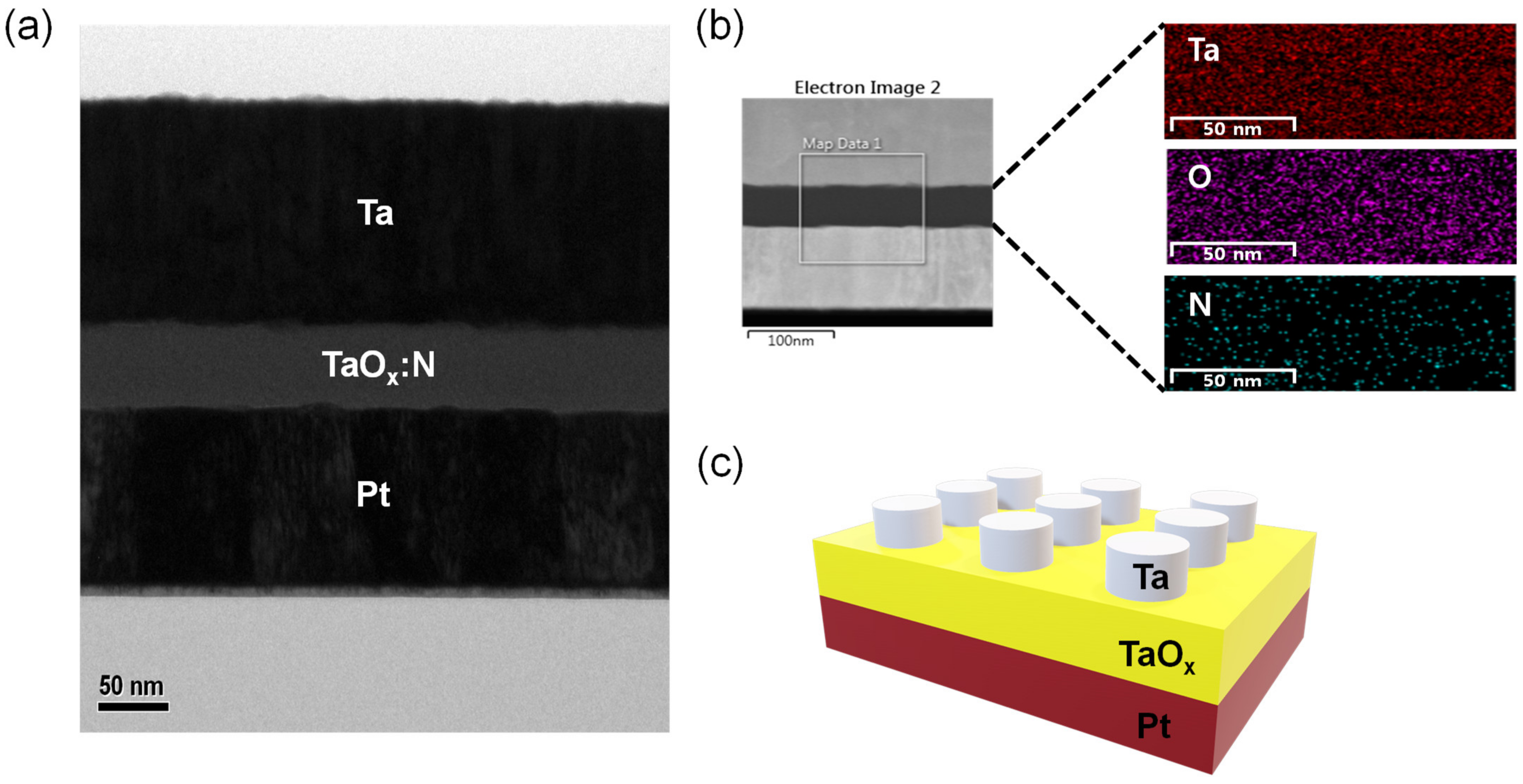 Nanomaterials 12 03334 g001