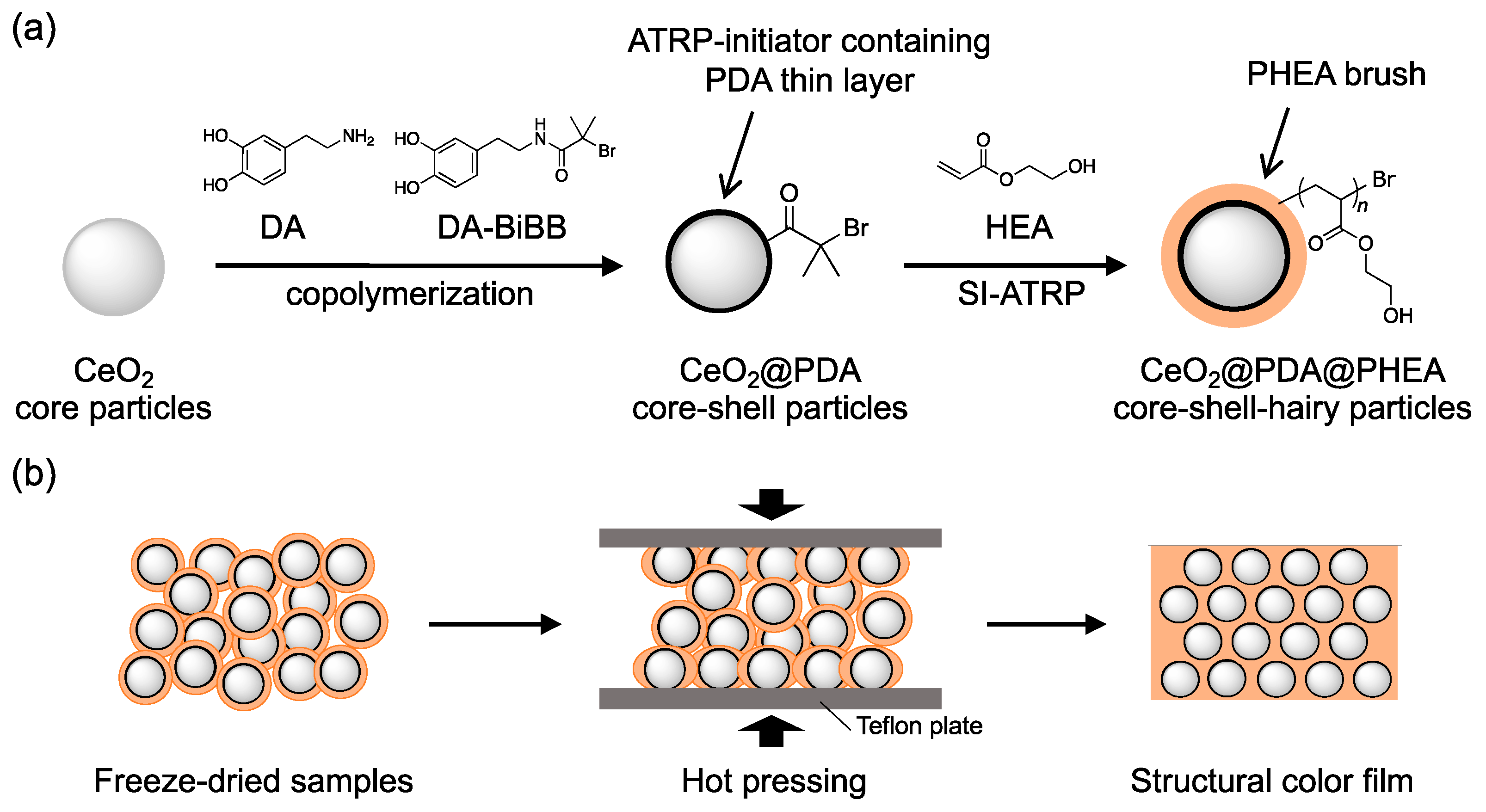 Nanomaterials 12 03338 g001