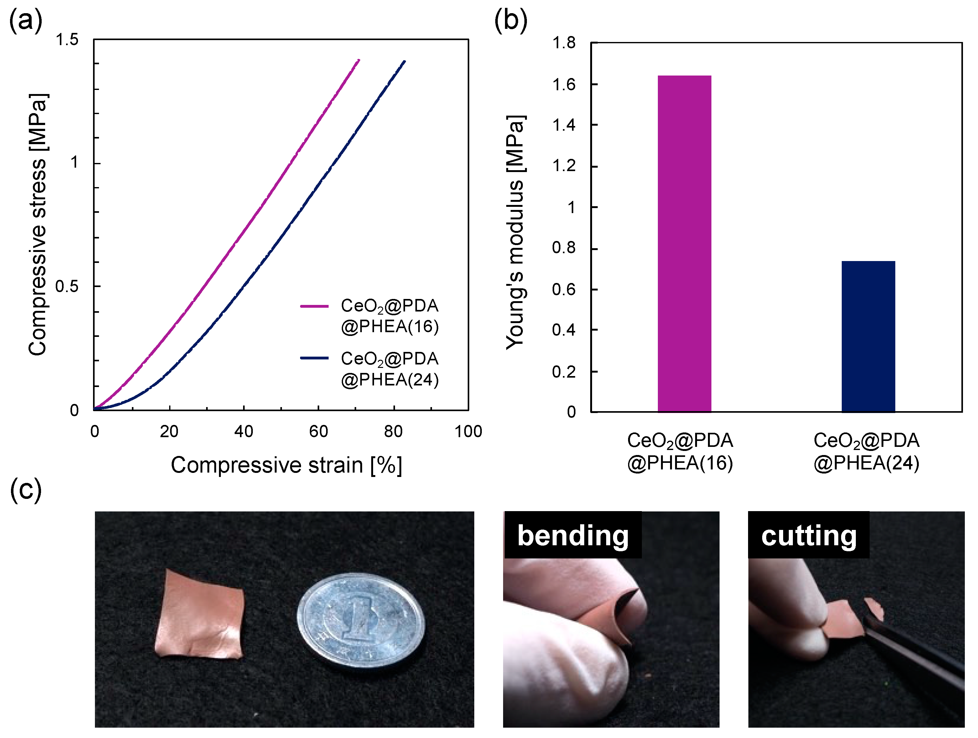 Nanomaterials 12 03338 g006