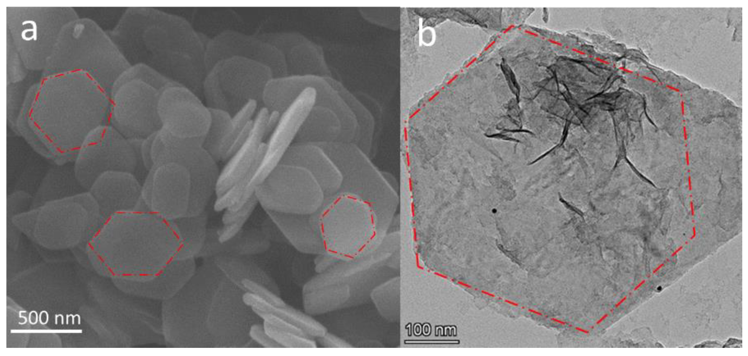 Nanomaterials 12 03339 g002