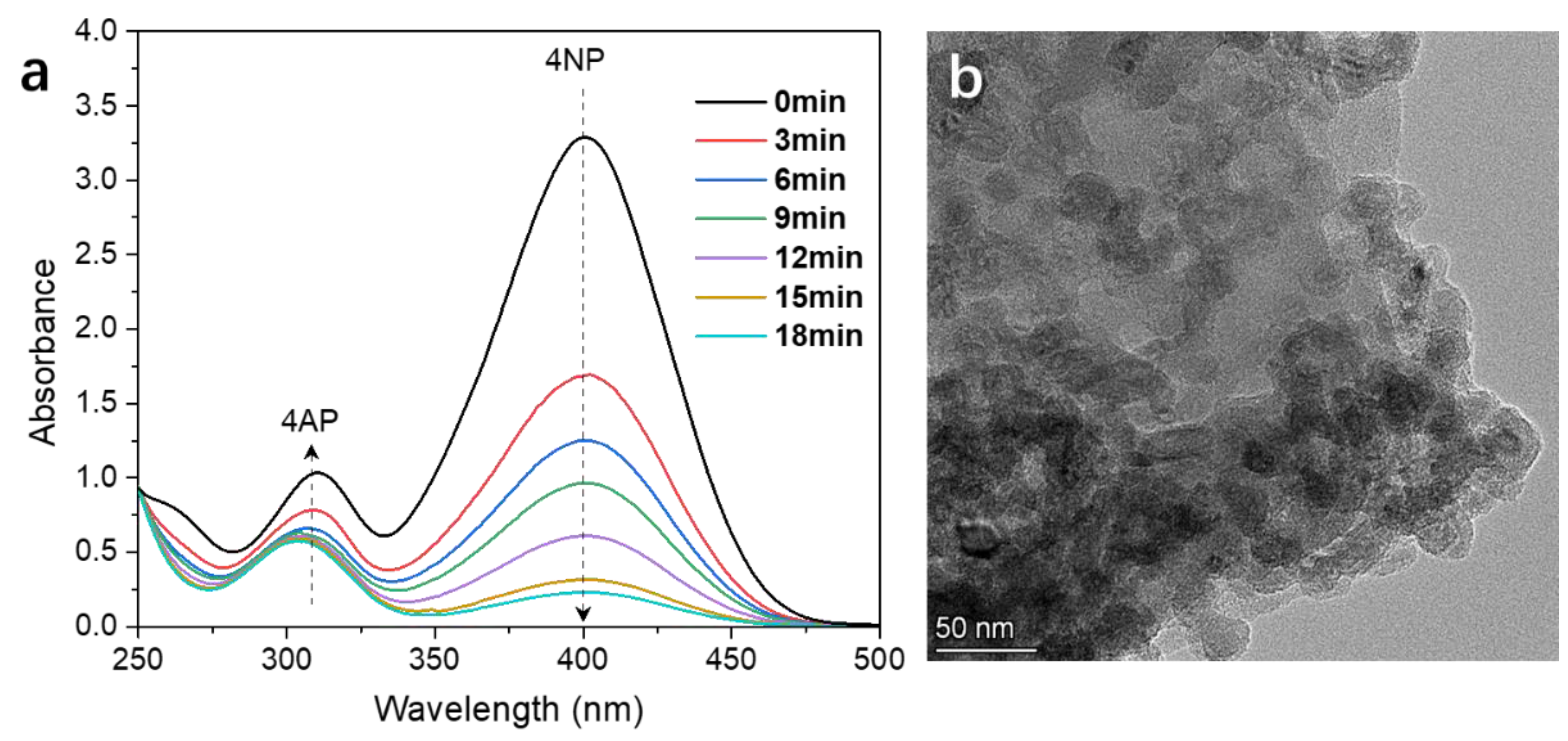 Nanomaterials 12 03339 g009