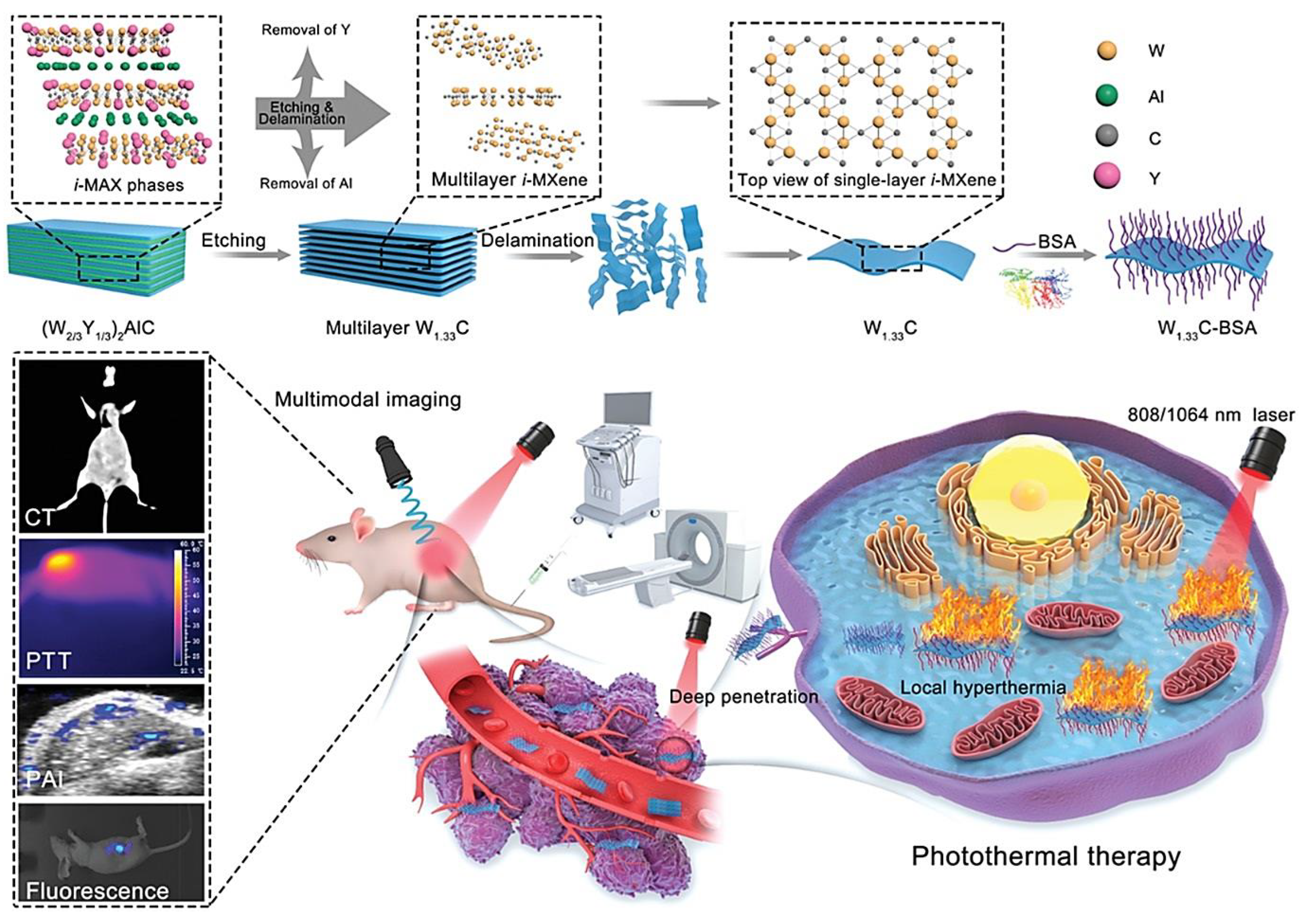 Nanomaterials 12 03360 g003