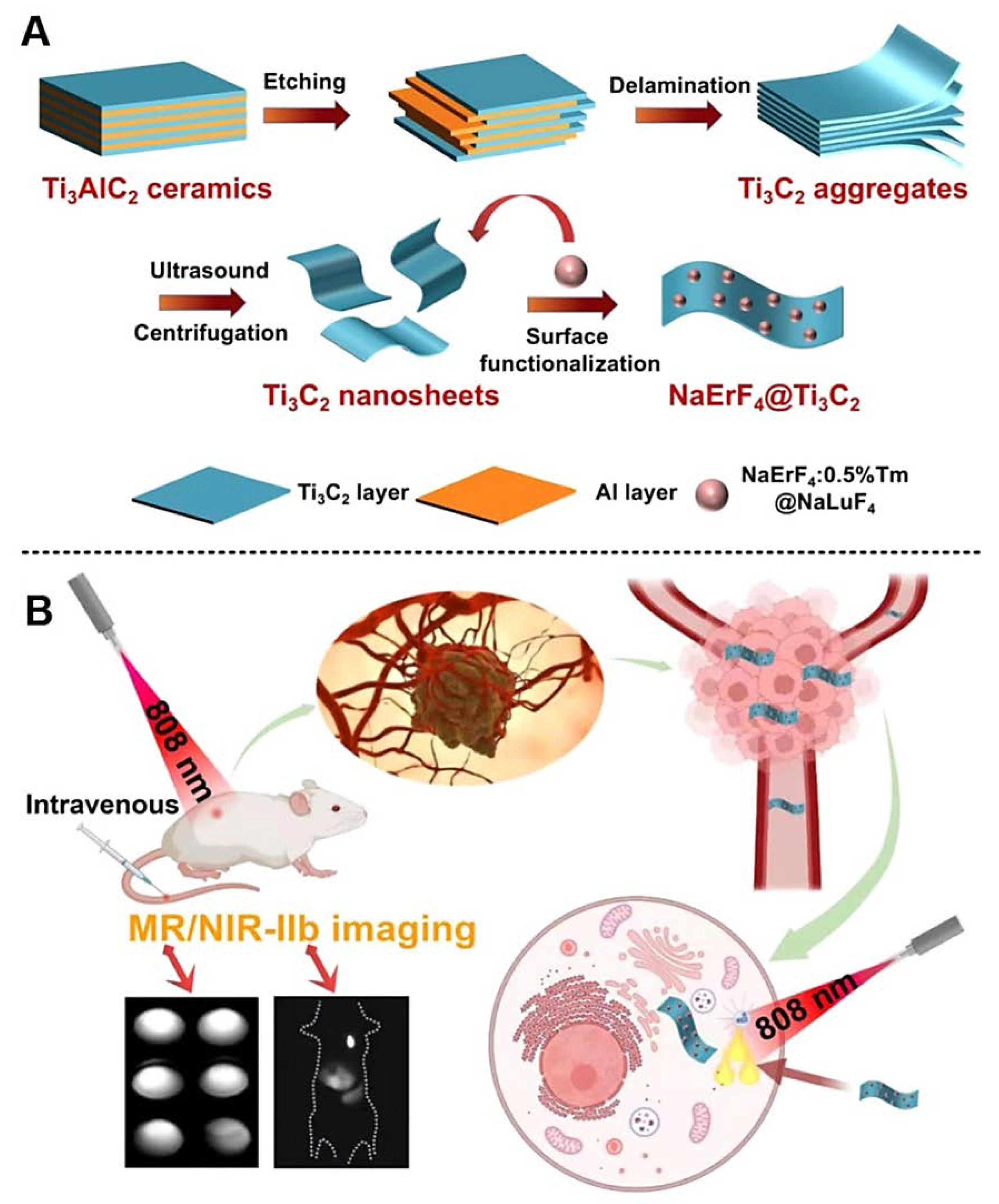 Nanomaterials 12 03360 g004