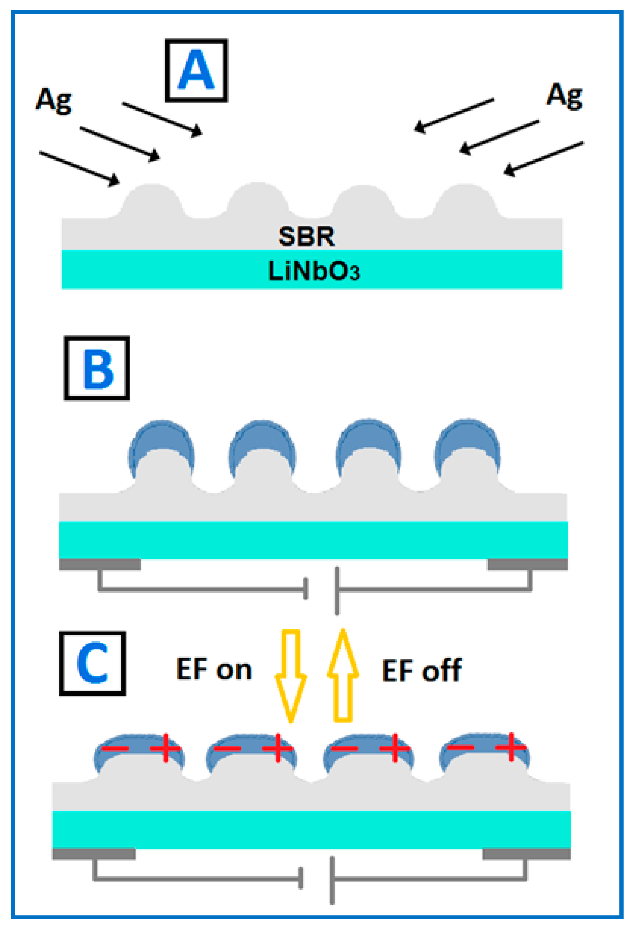 Nanomaterials 12 03366 g001