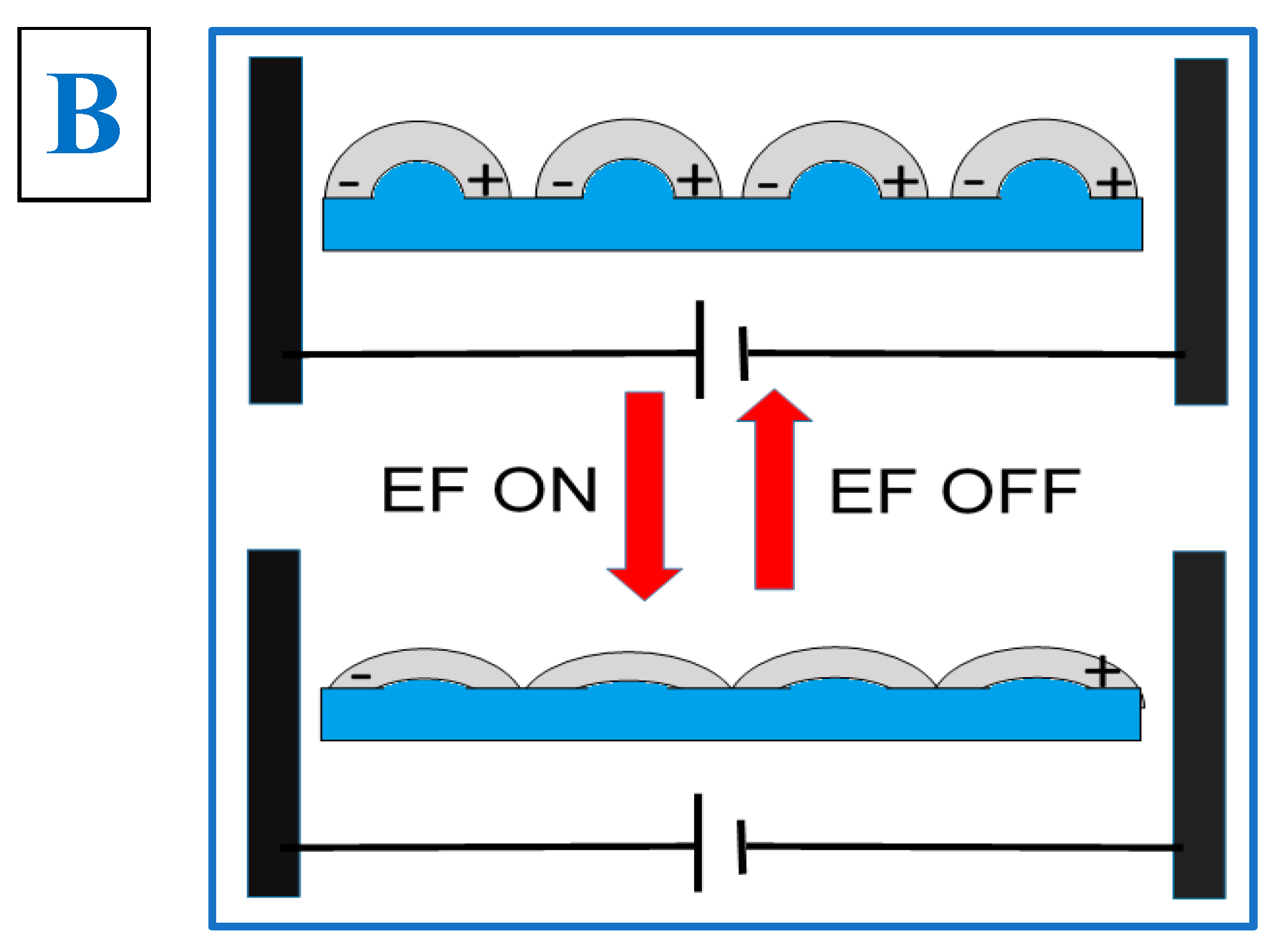 Nanomaterials 12 03366 g003b