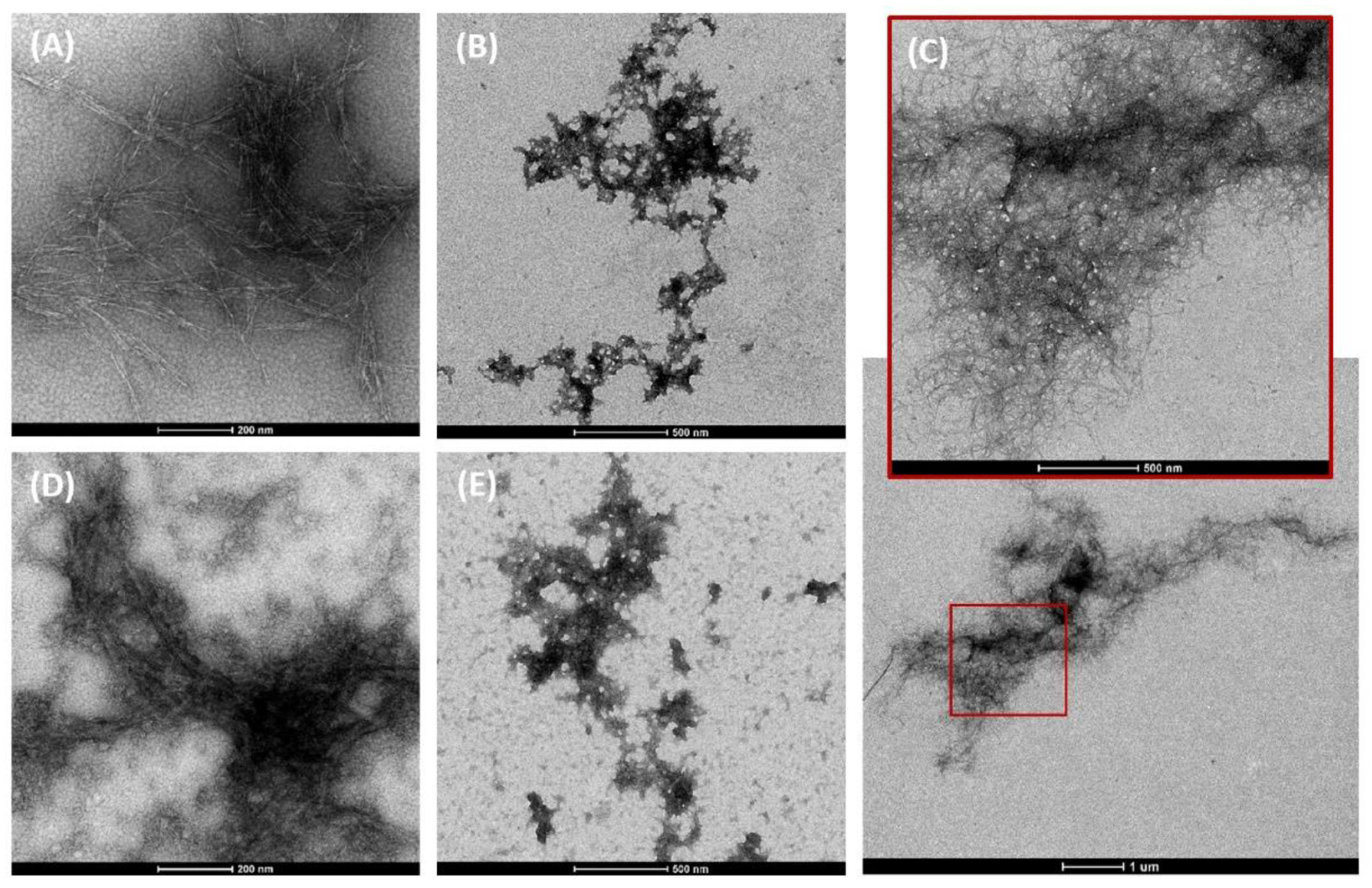 Nanomaterials 12 03375 g001