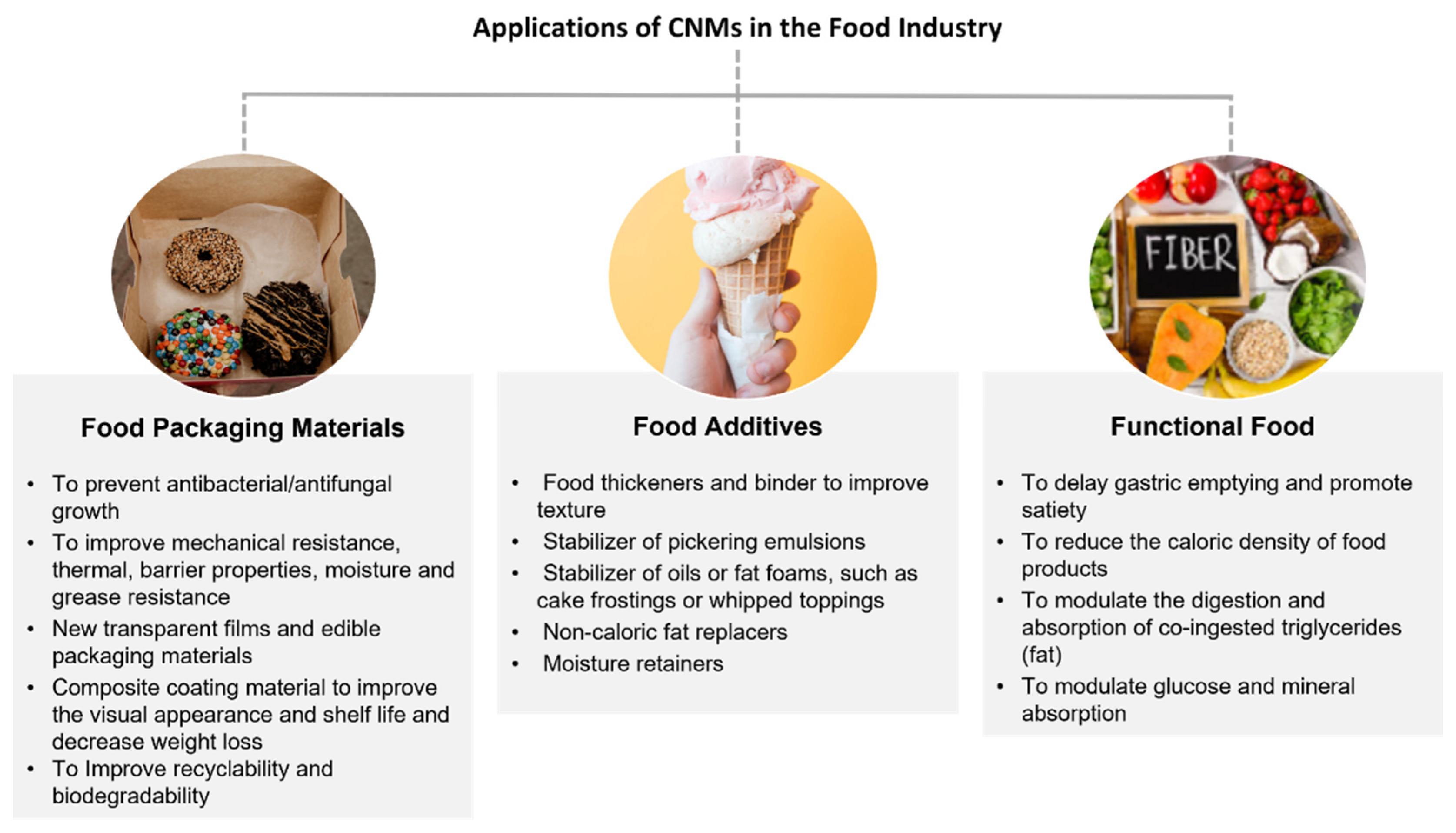 Nanomaterials 12 03375 g002
