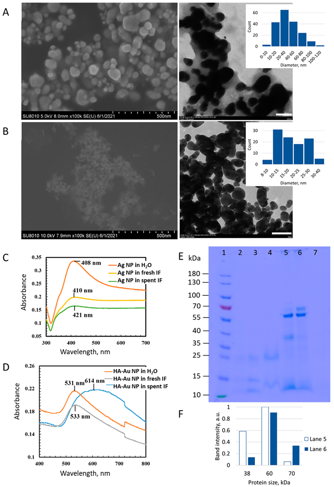 Nanomaterials 12 03377 g002 Nanomaterials 12 03377 g002