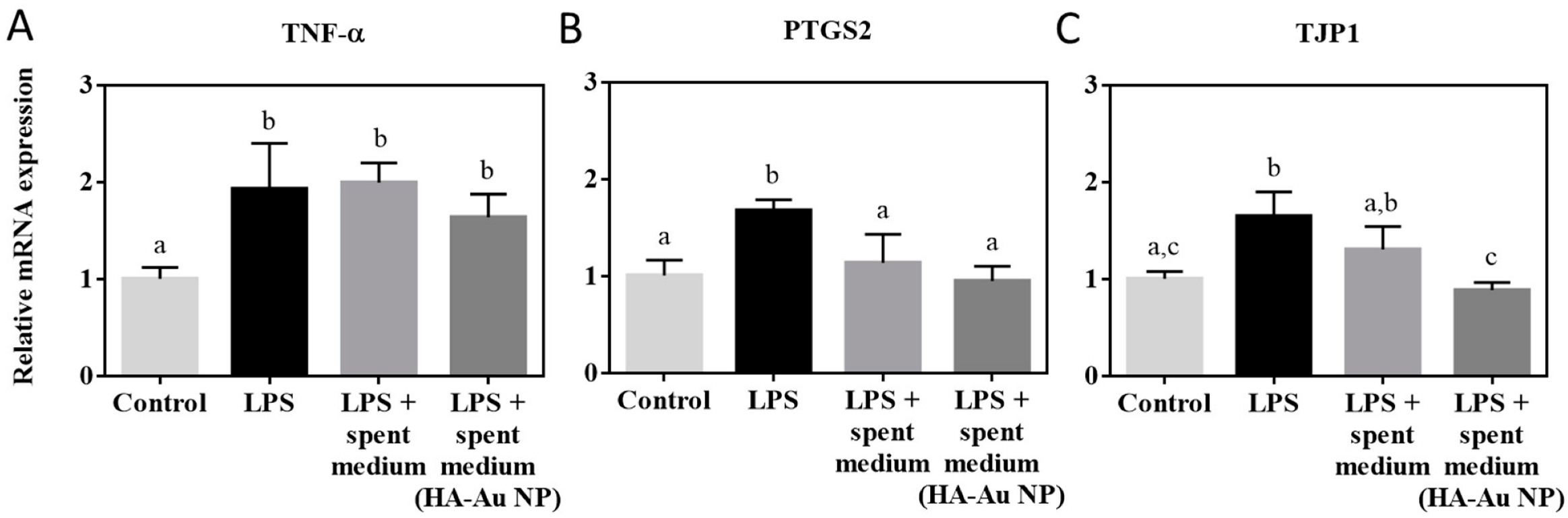 Nanomaterials 12 03377 g006 Nanomaterials 12 03377 g006