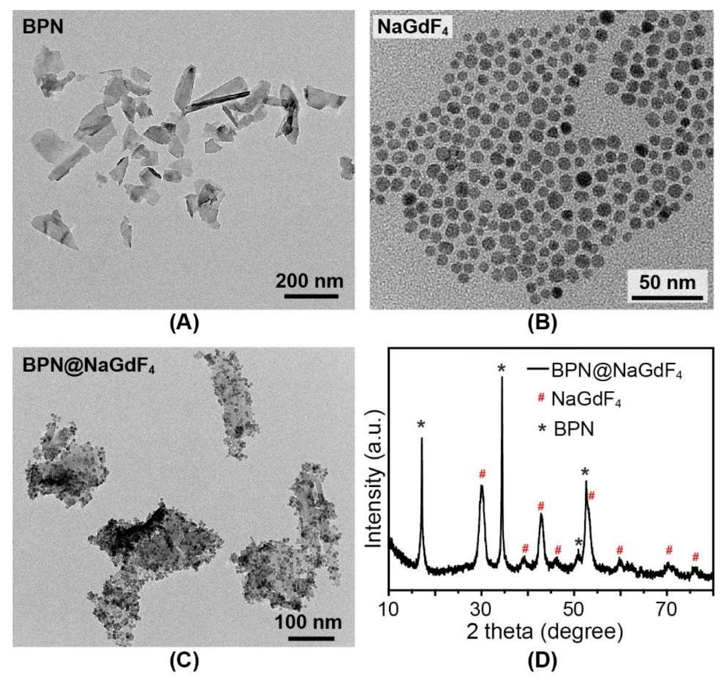 Nanomaterials 12 03383 g002