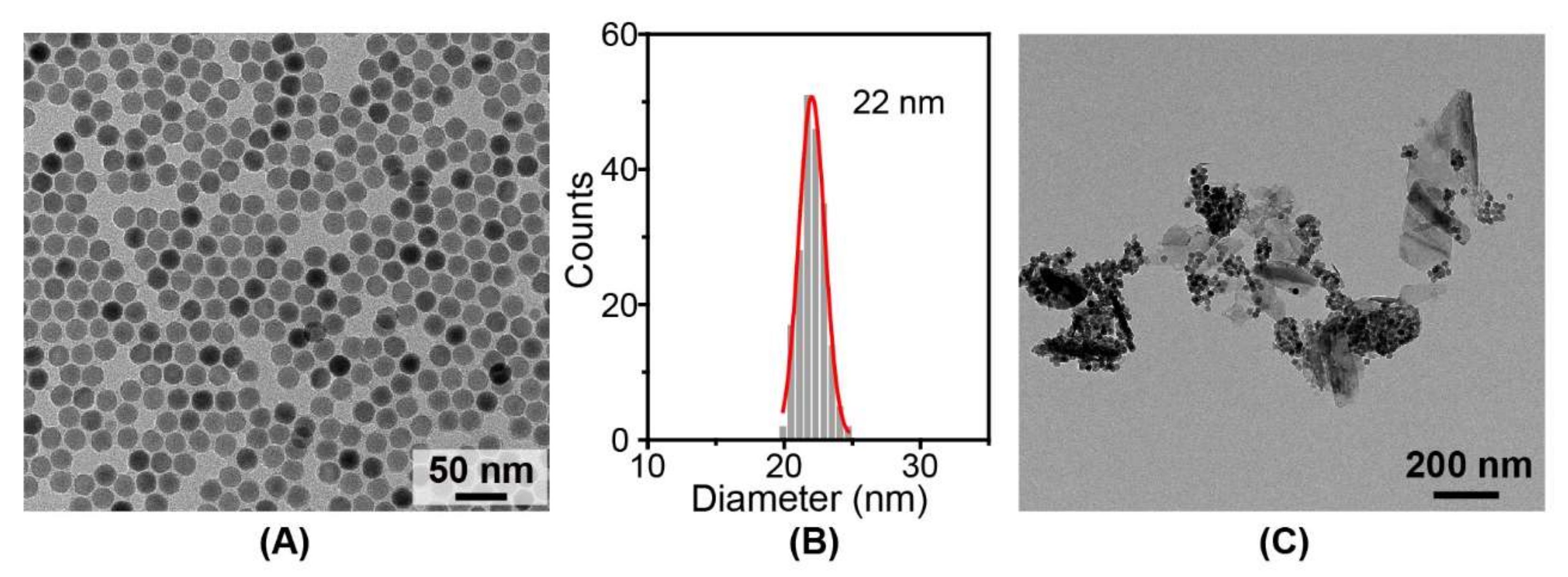 Nanomaterials 12 03383 g005