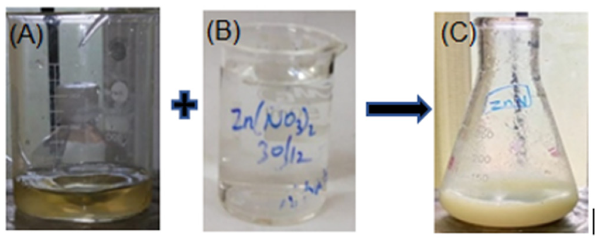 Nanomaterials 12 03384 g001